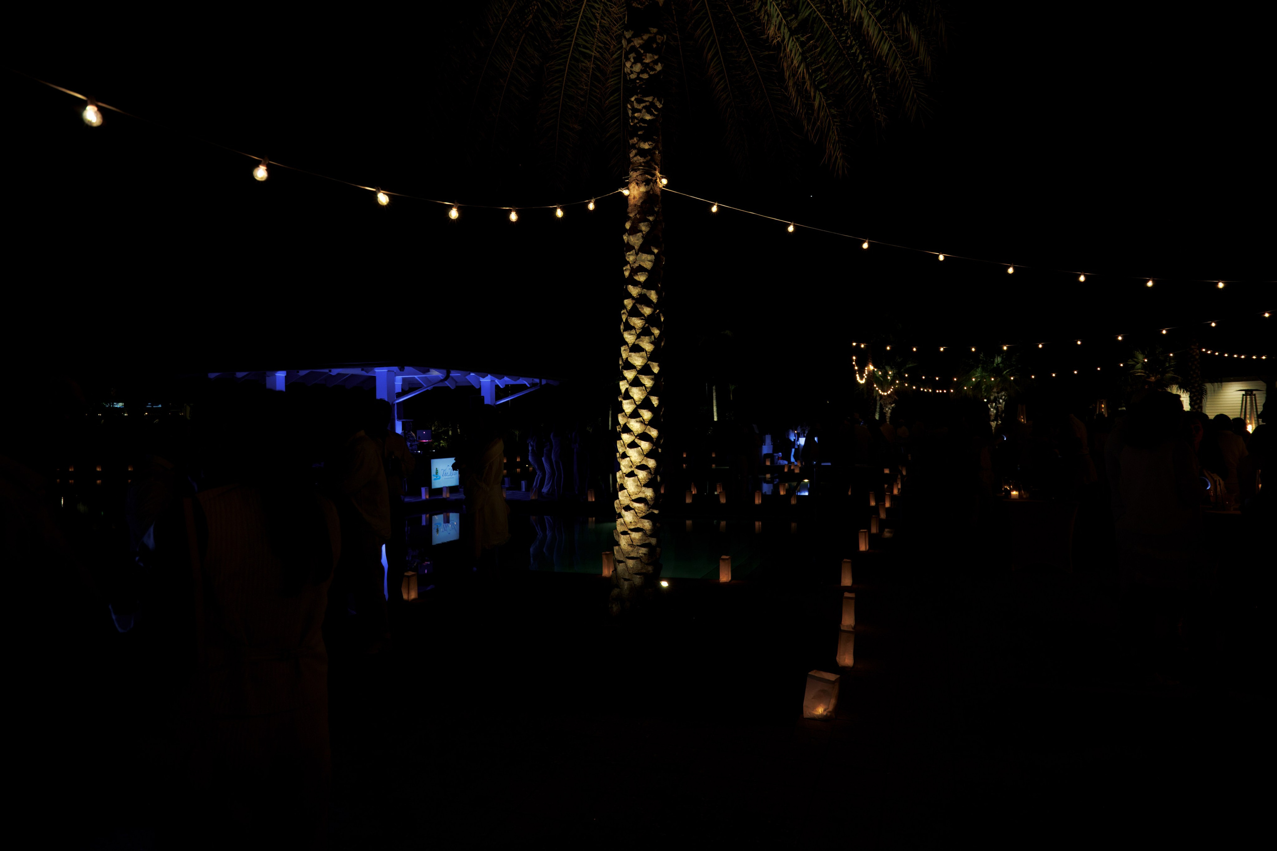 The Isles White Party. Out and About 239