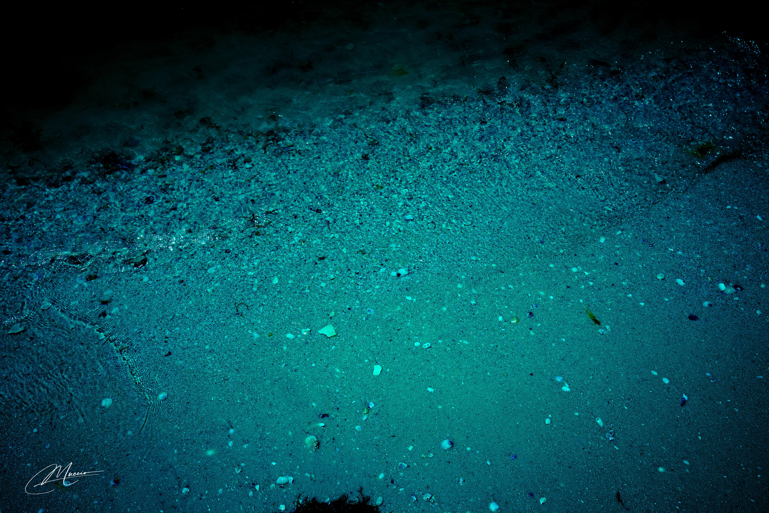 Florida Man — Fort Myers Walkabout. Out and About 239