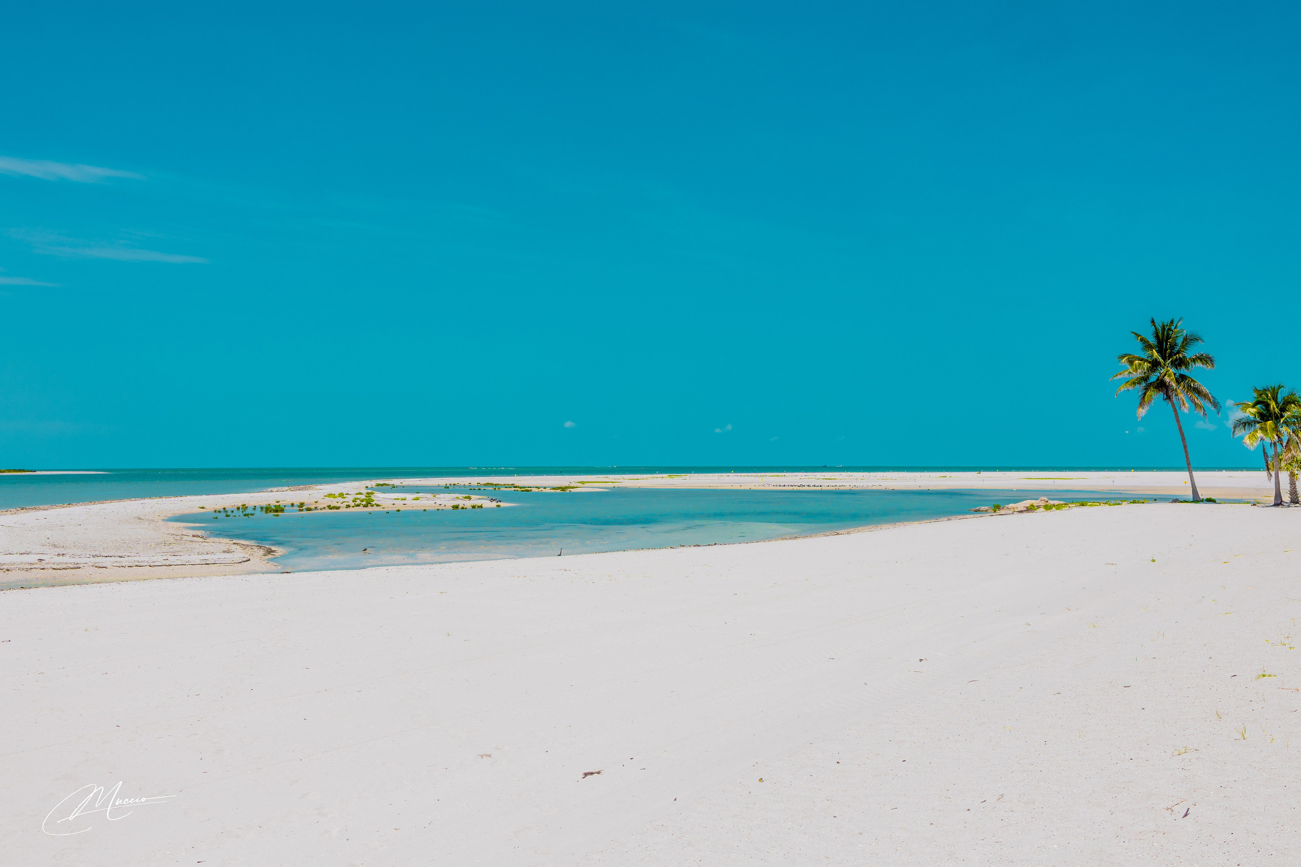 Florida Man — Fort Myers Walkabout. Out and About 239