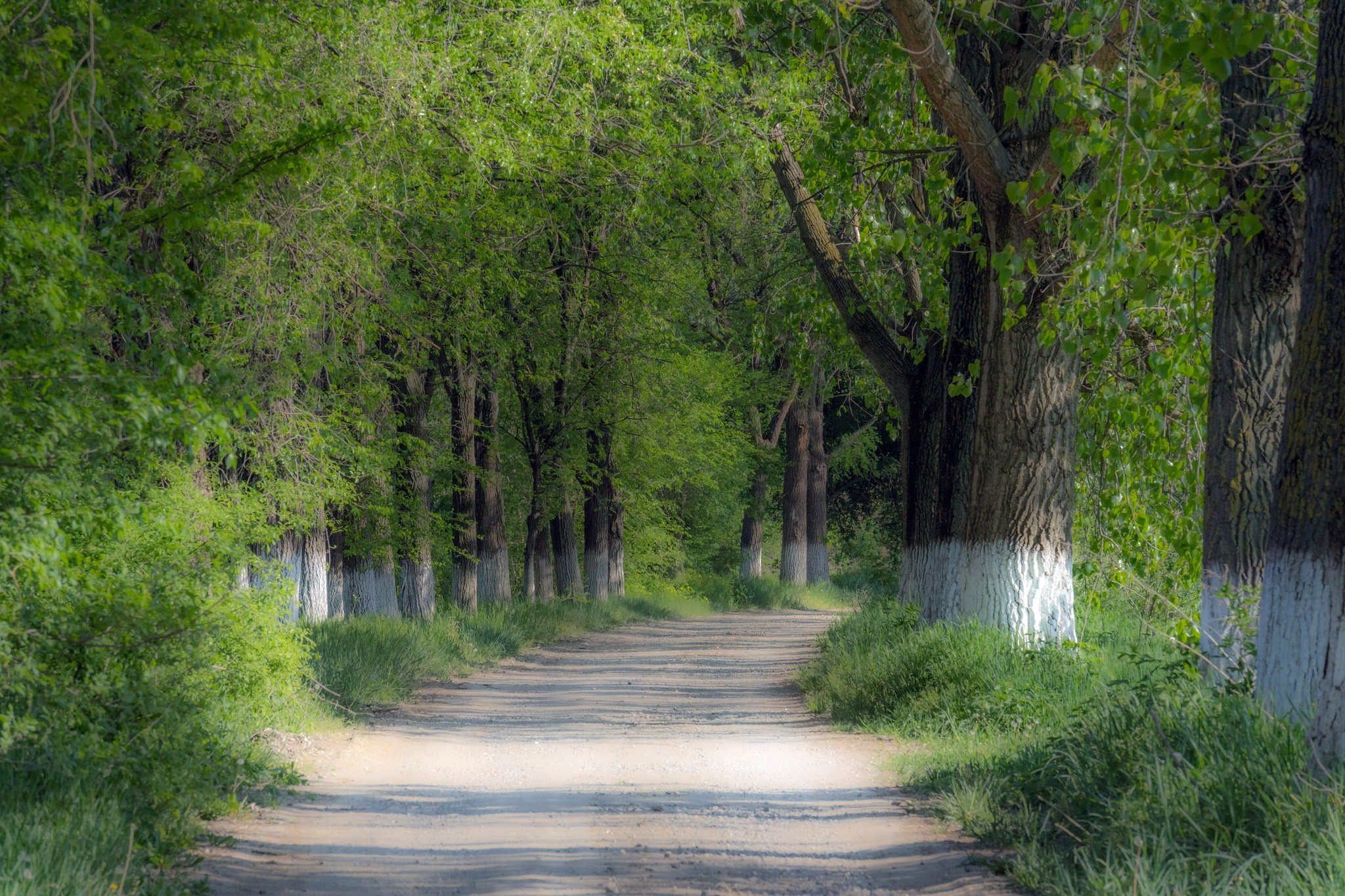 Landscape photography. Wedding photography