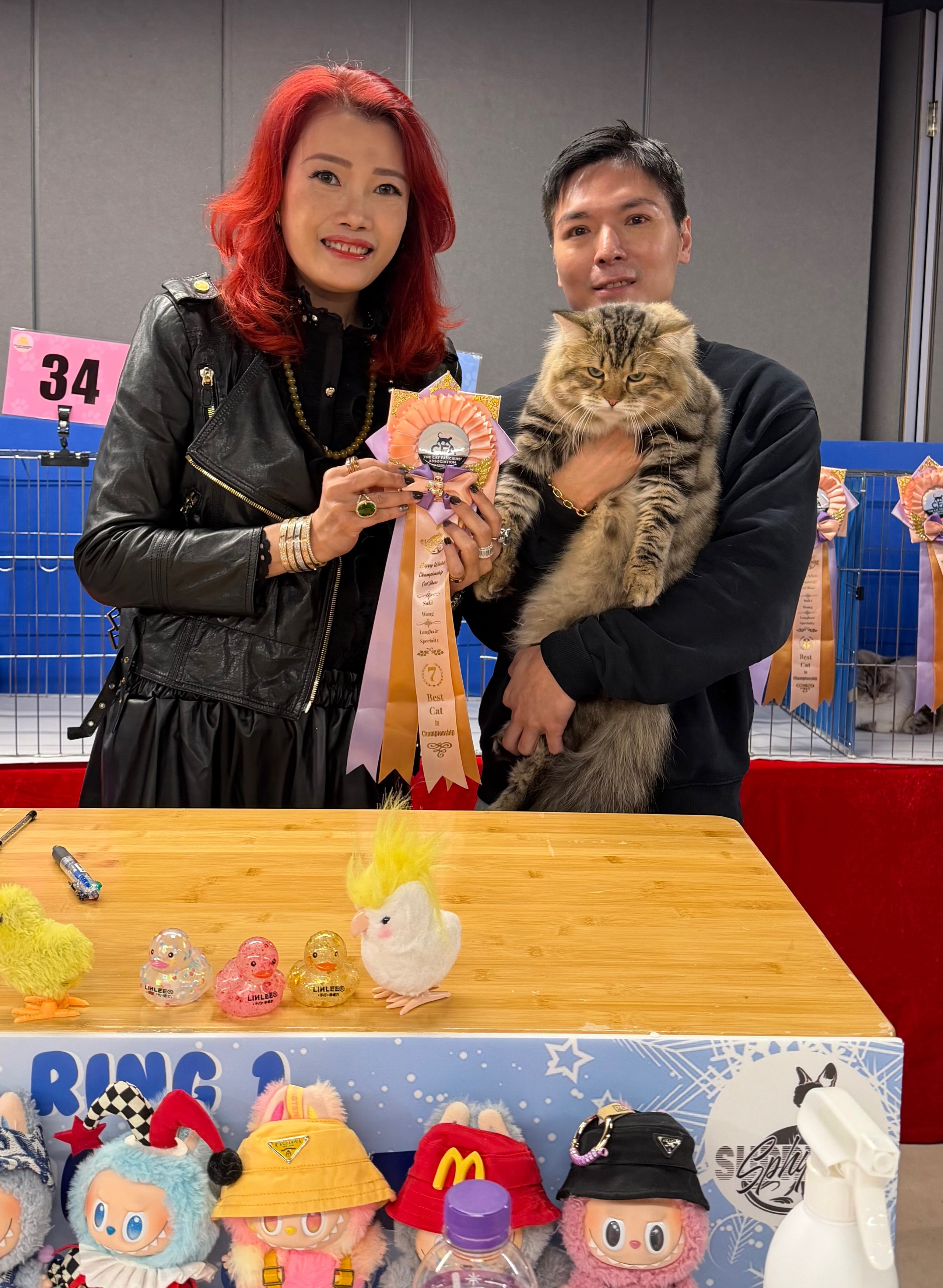 CFA WINTER CHAMPIONSHIP CAT SHOW 13 DEC 2025