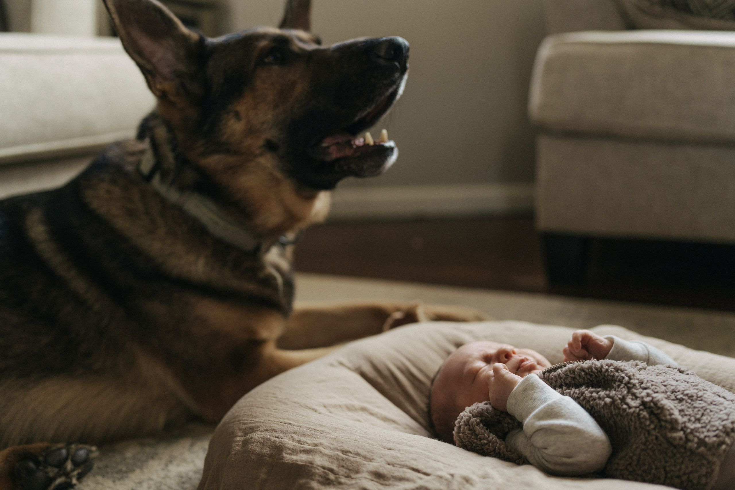 Dana, Paul, Matteo. Wedding and family photographer and videographer PA, NJ, NY, DE, MD