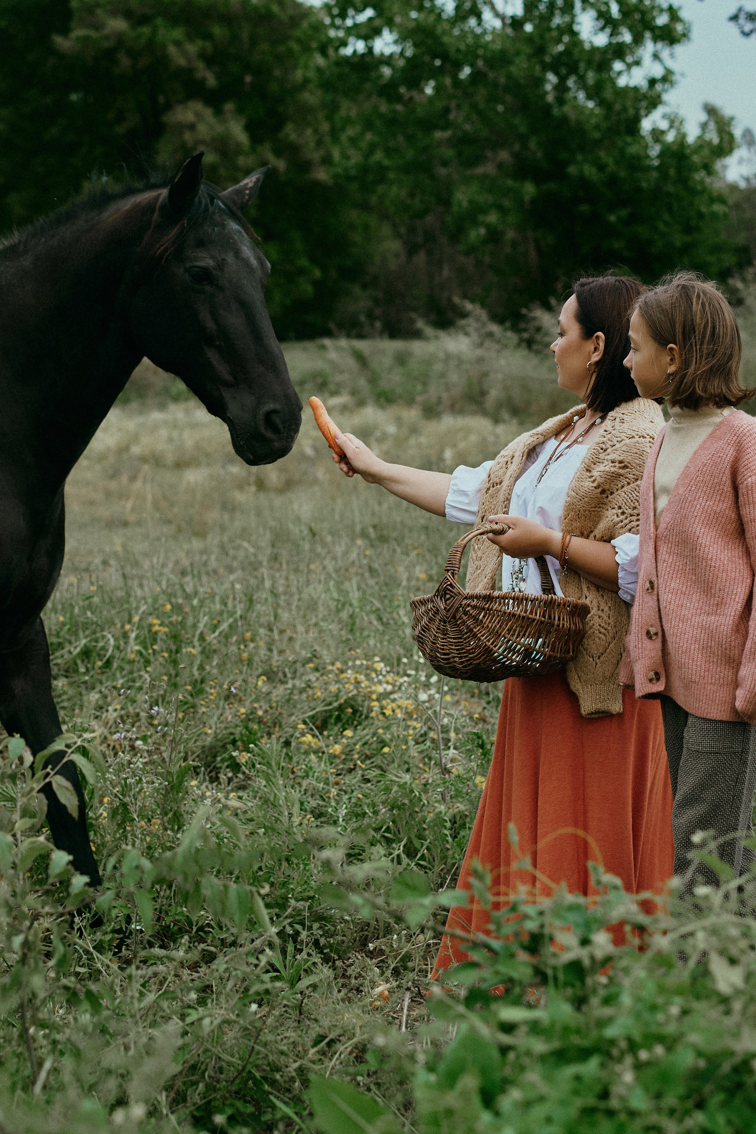 Летний день с лошадьми. Fotógrafa en España Zhanna Zakharchenko