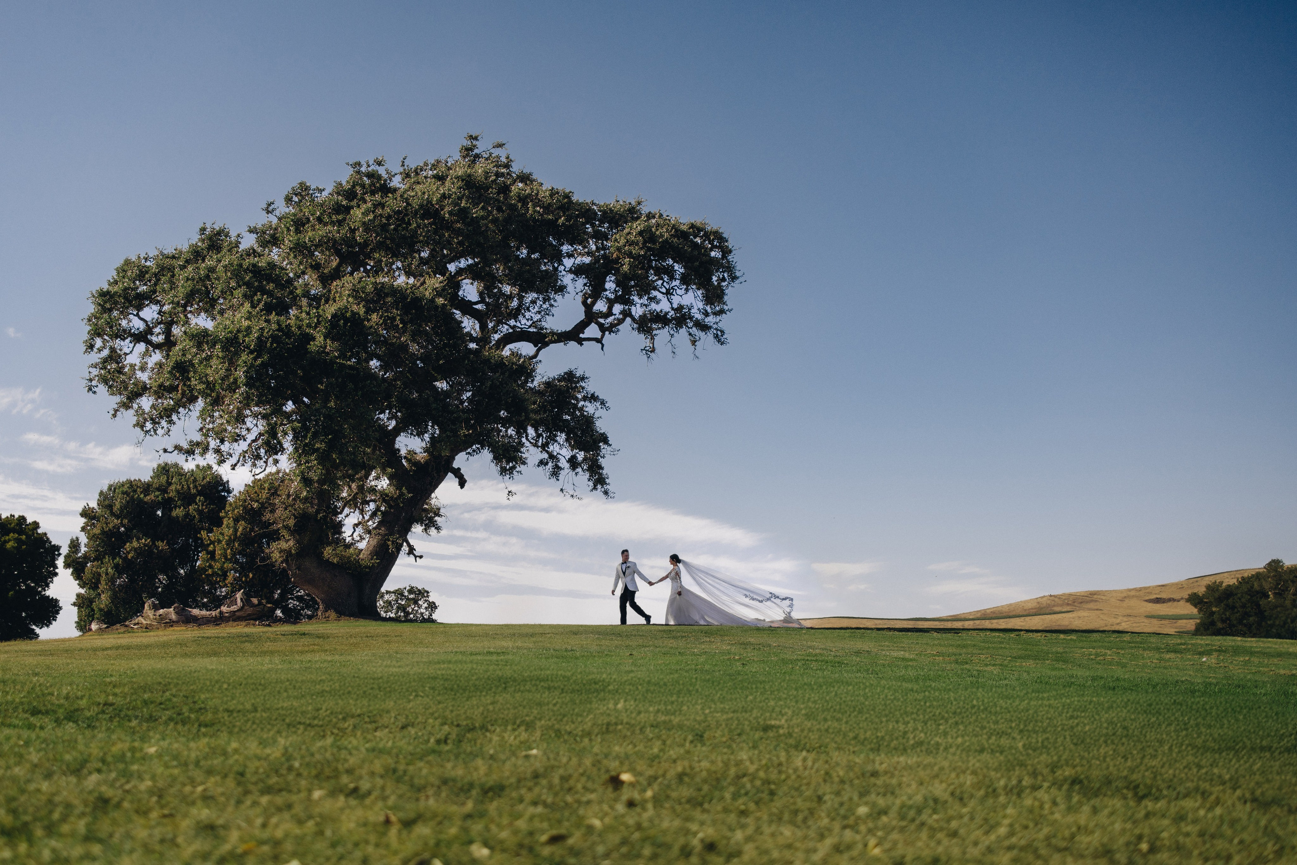 Coleman & Erenia Wedding in Napa | Georgy Shishkin Photography. Portland & Seattle Wedding, Elopement & Engagement Photographer | Georgy Shishkin