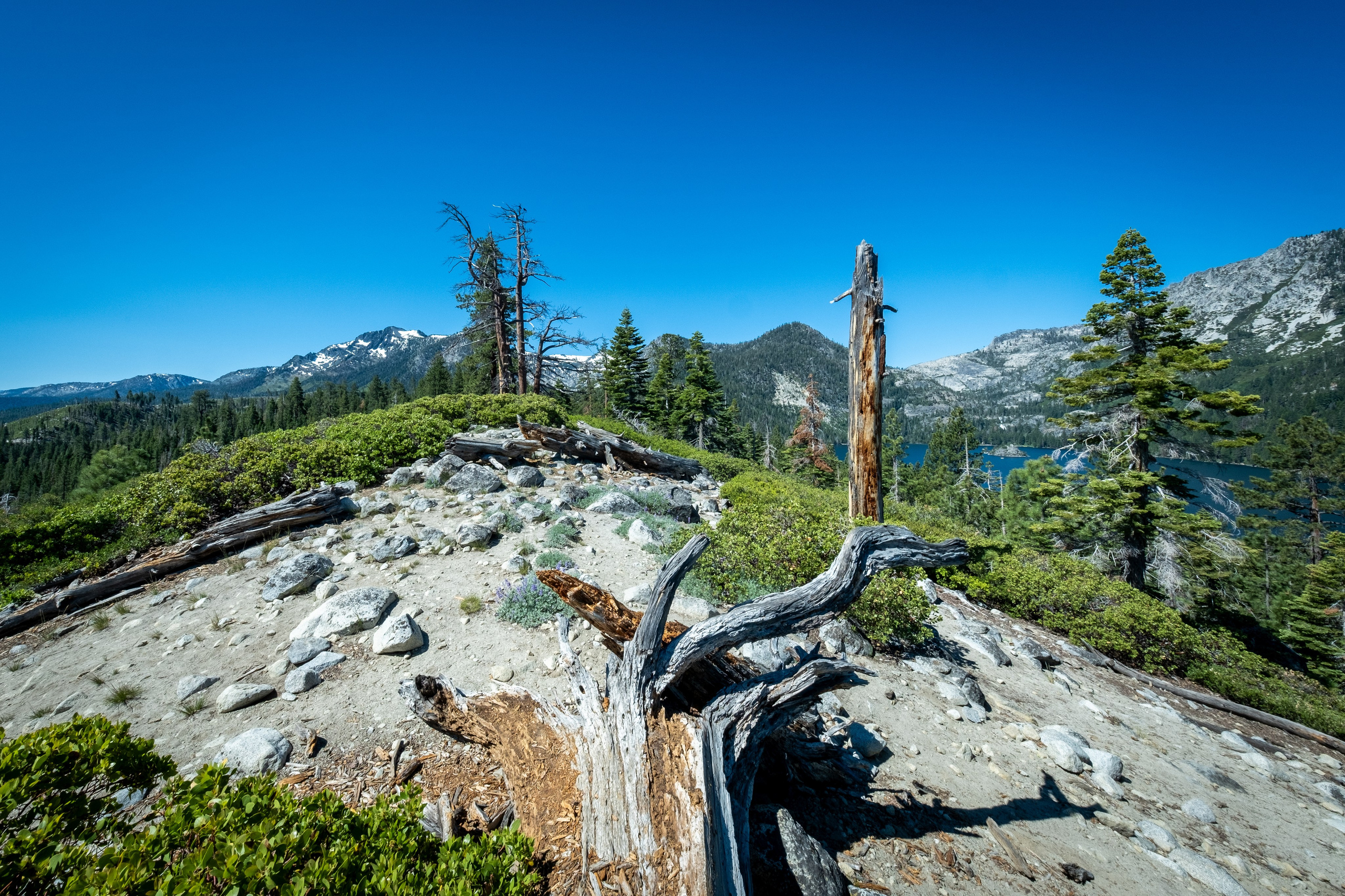 TAHOE. Reportage concert portrait photography in the San Francisco Bay Area