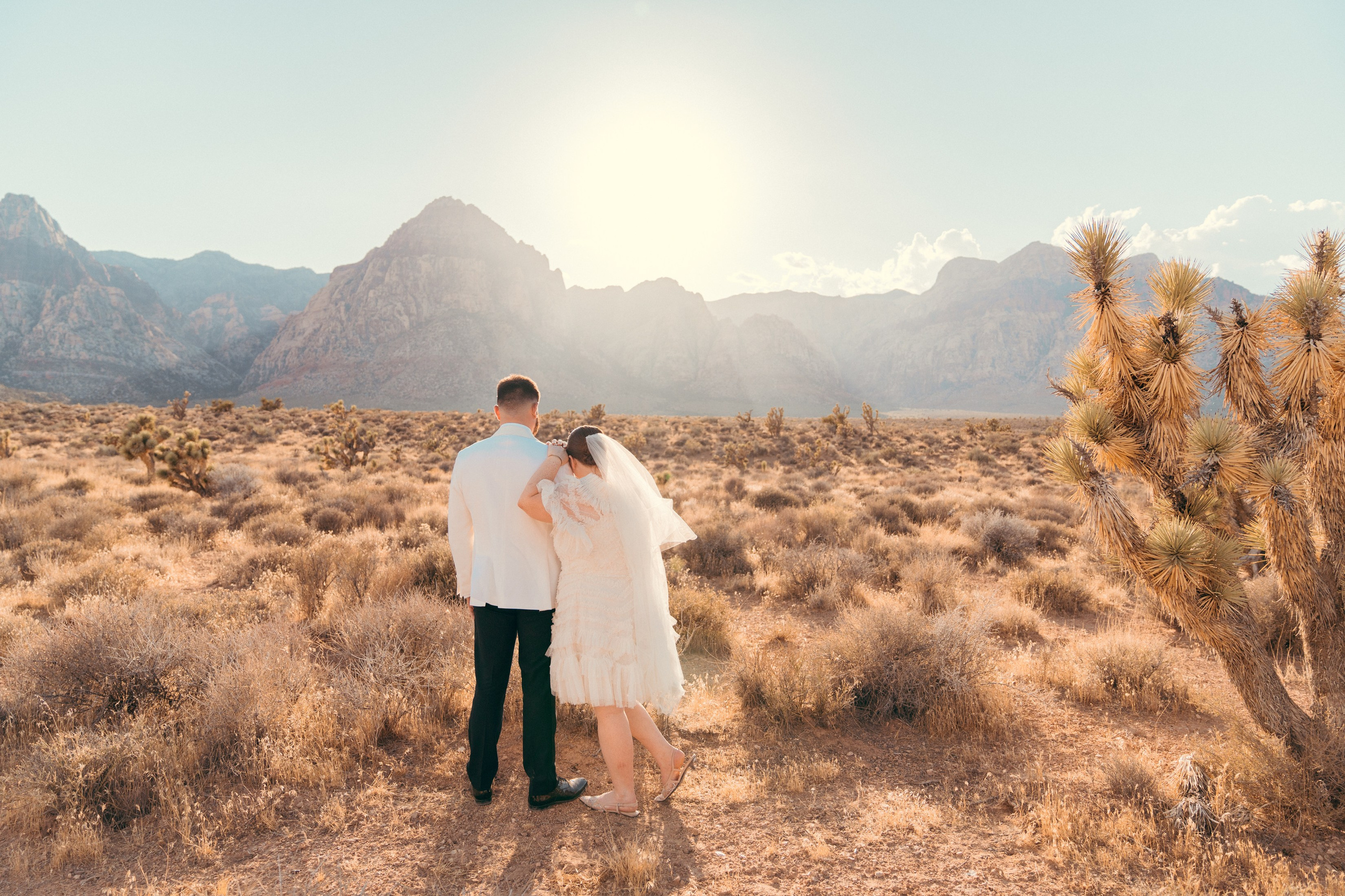 Cassie&Jimmy. Wedding & elopement photographer Viktoriya Kravtsov. Las Vegas