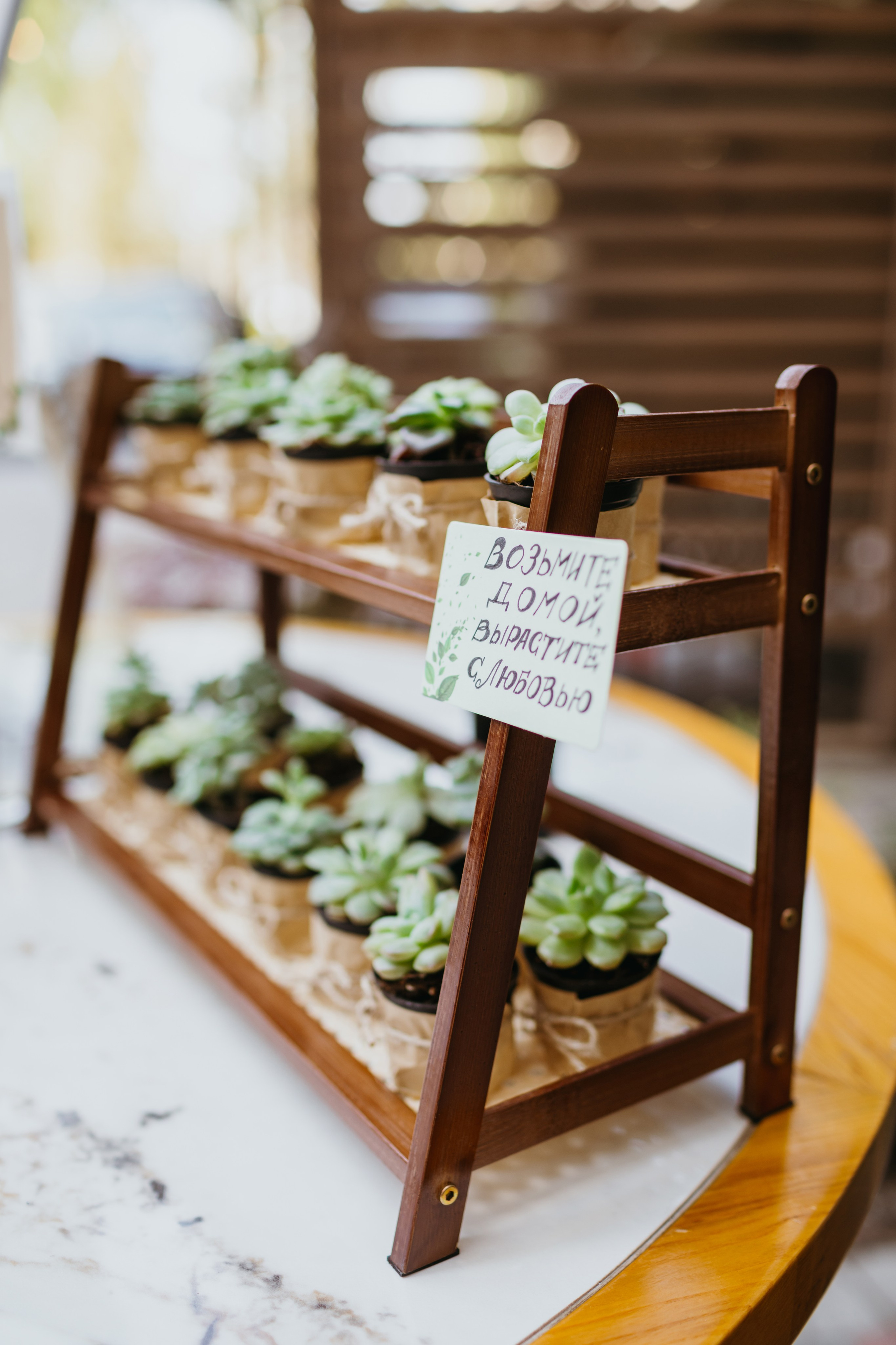Свадьба Андрея и Елизаветы — Свадебный фотограф Бишкек, Кыргызстан | Оксана Шувалова фотограф — Wedding Photographer Bishkek, Kyrgyzstan. Фотограф в Бишкеке Оксана Шувалова