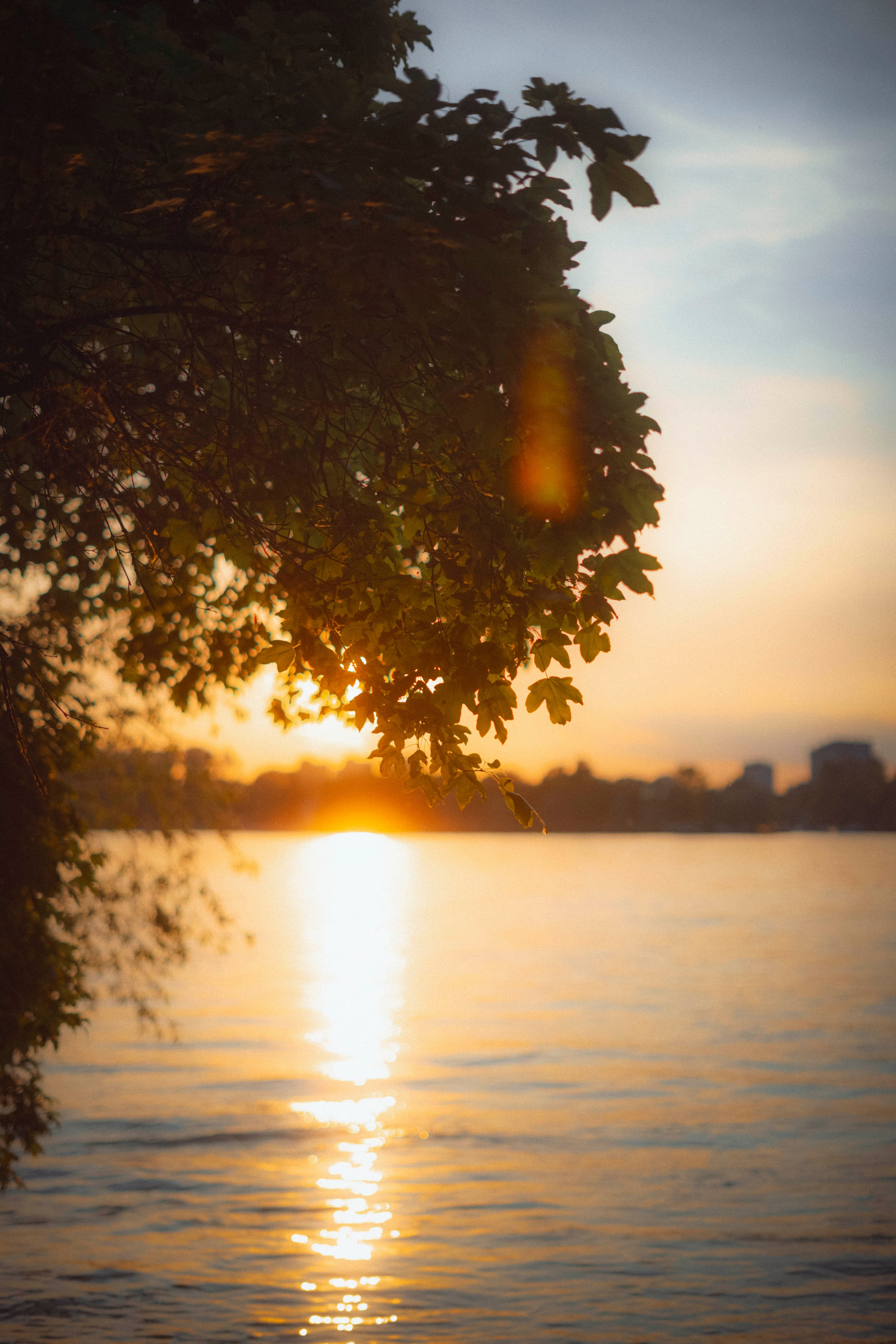 Sunset. Žukov Studio