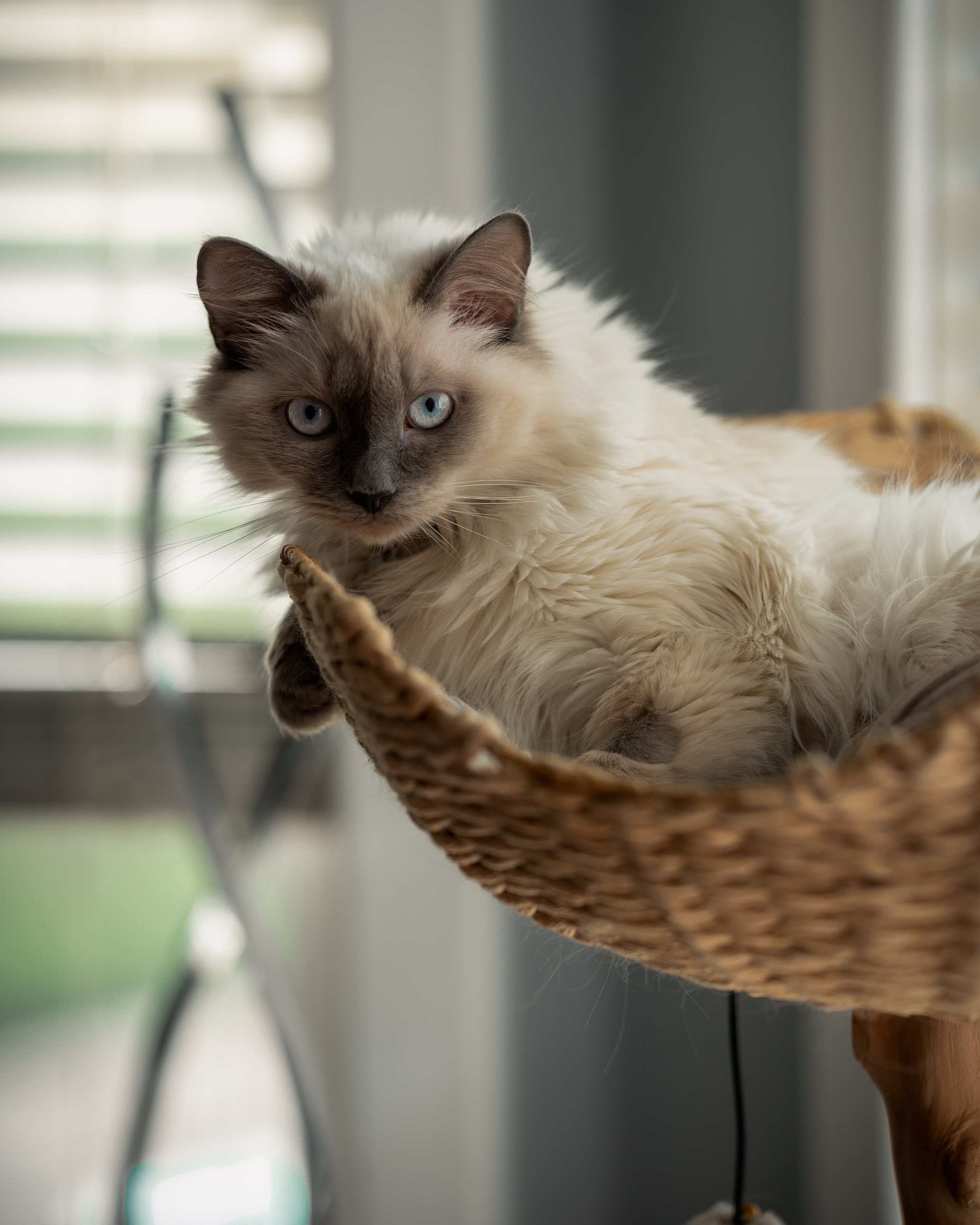 Nick & Jacqueline. MY Photography