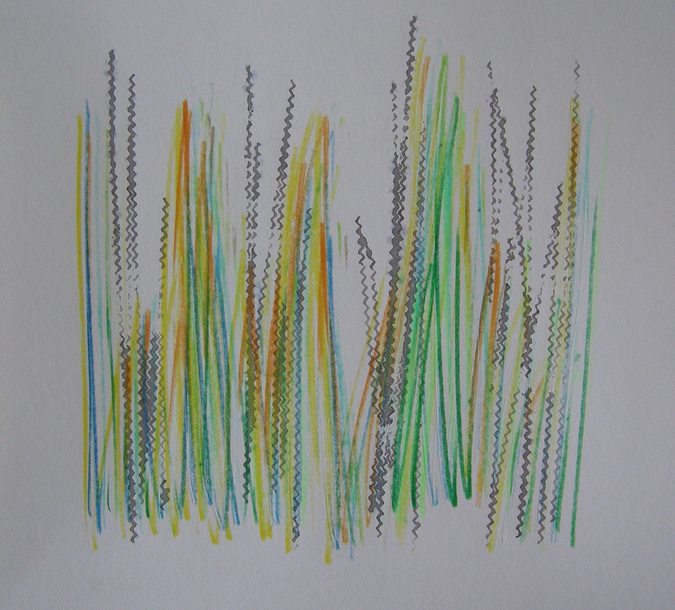 O.T. 2024 - 30x30