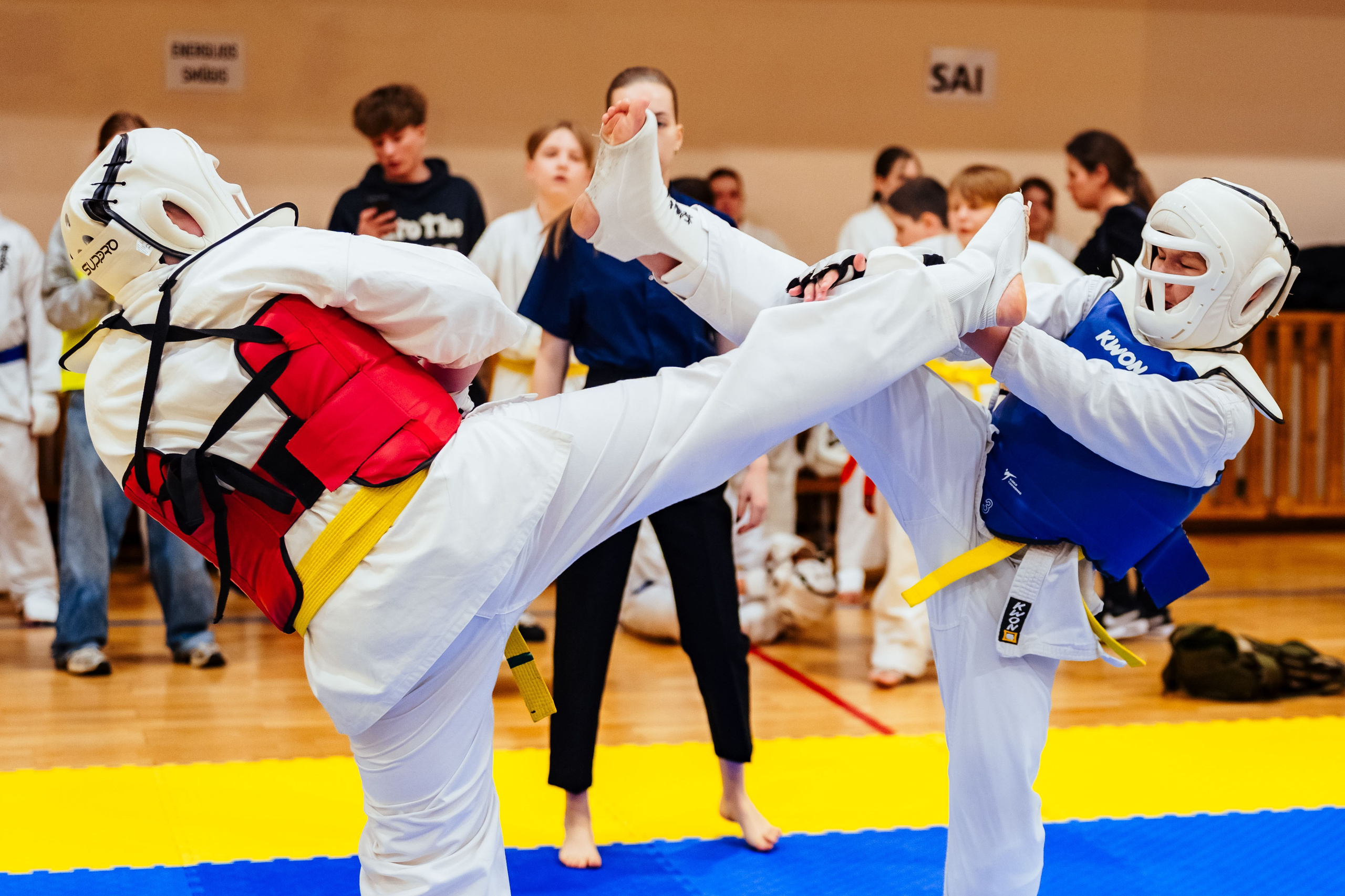 Vilniaus Karate Lyga II Etapas. OnePIXEL
