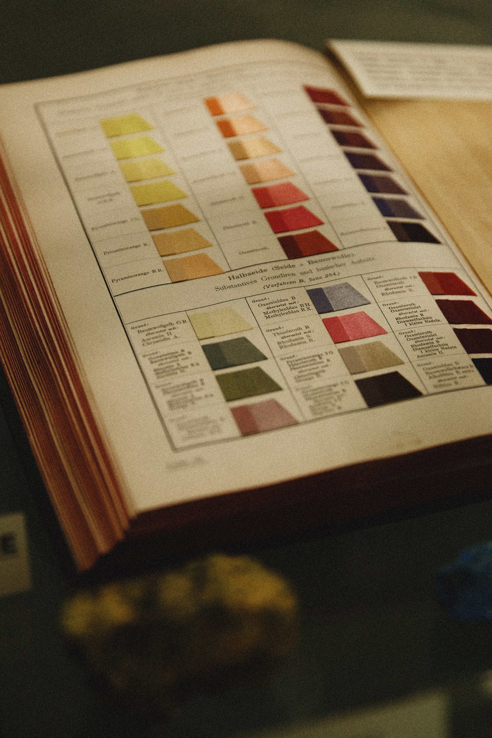 Museum of farmacy in Wroclaw. Kaja | fotograf we Wrocławiu | ludzie i psy