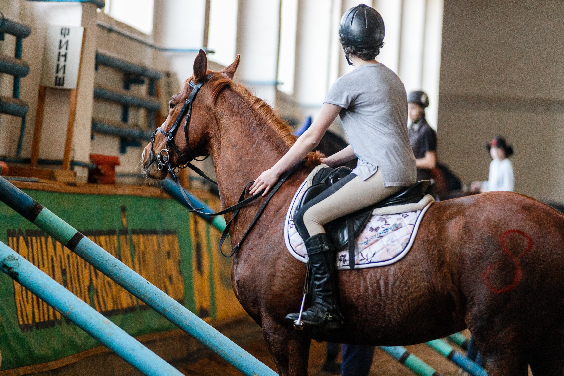 Horse winter games. Kaja | fotograf we Wrocławiu | ludzie i psy