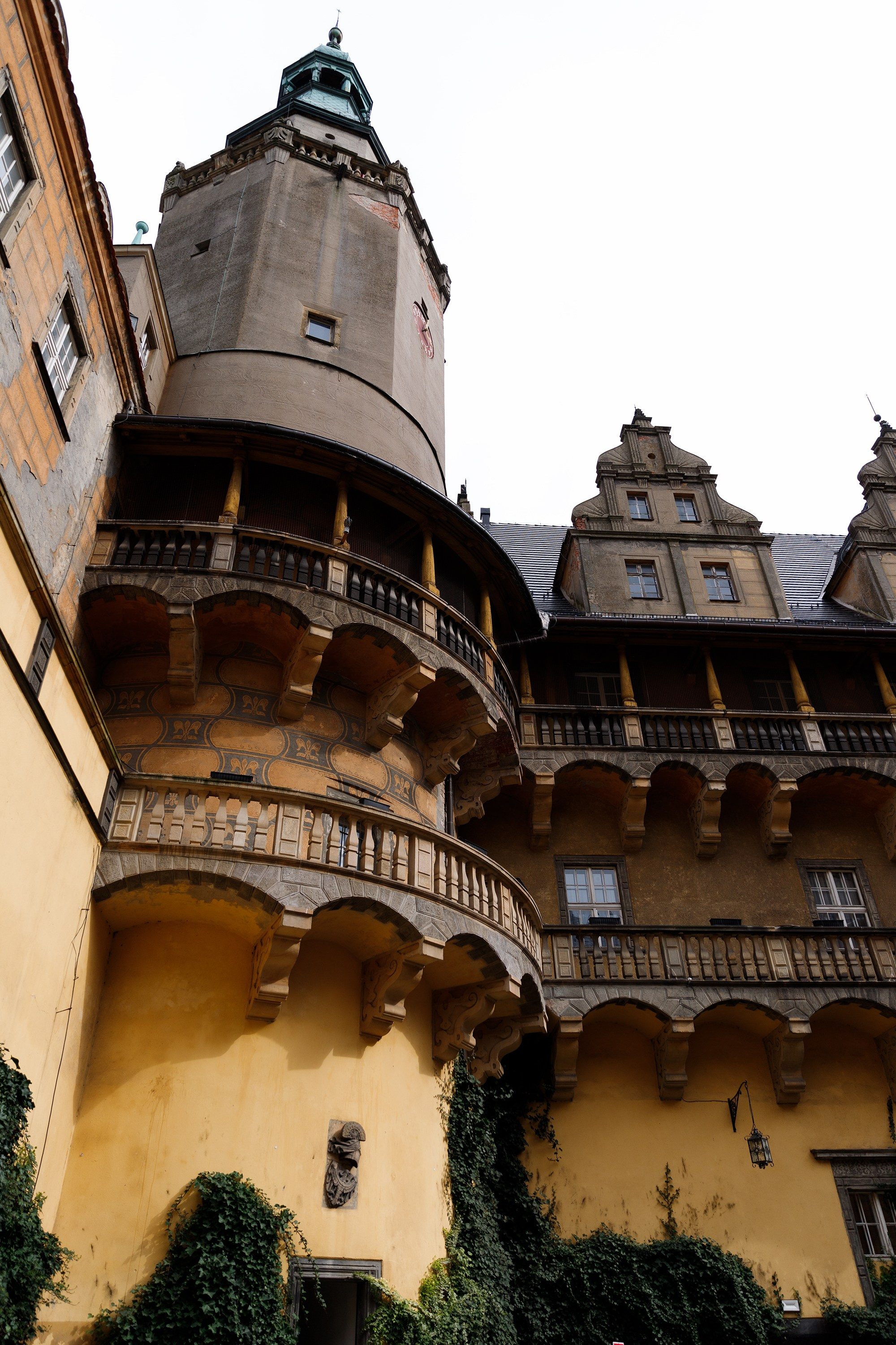 Oleśnica castle. Kaja | fotograf psów we Wrocławiu