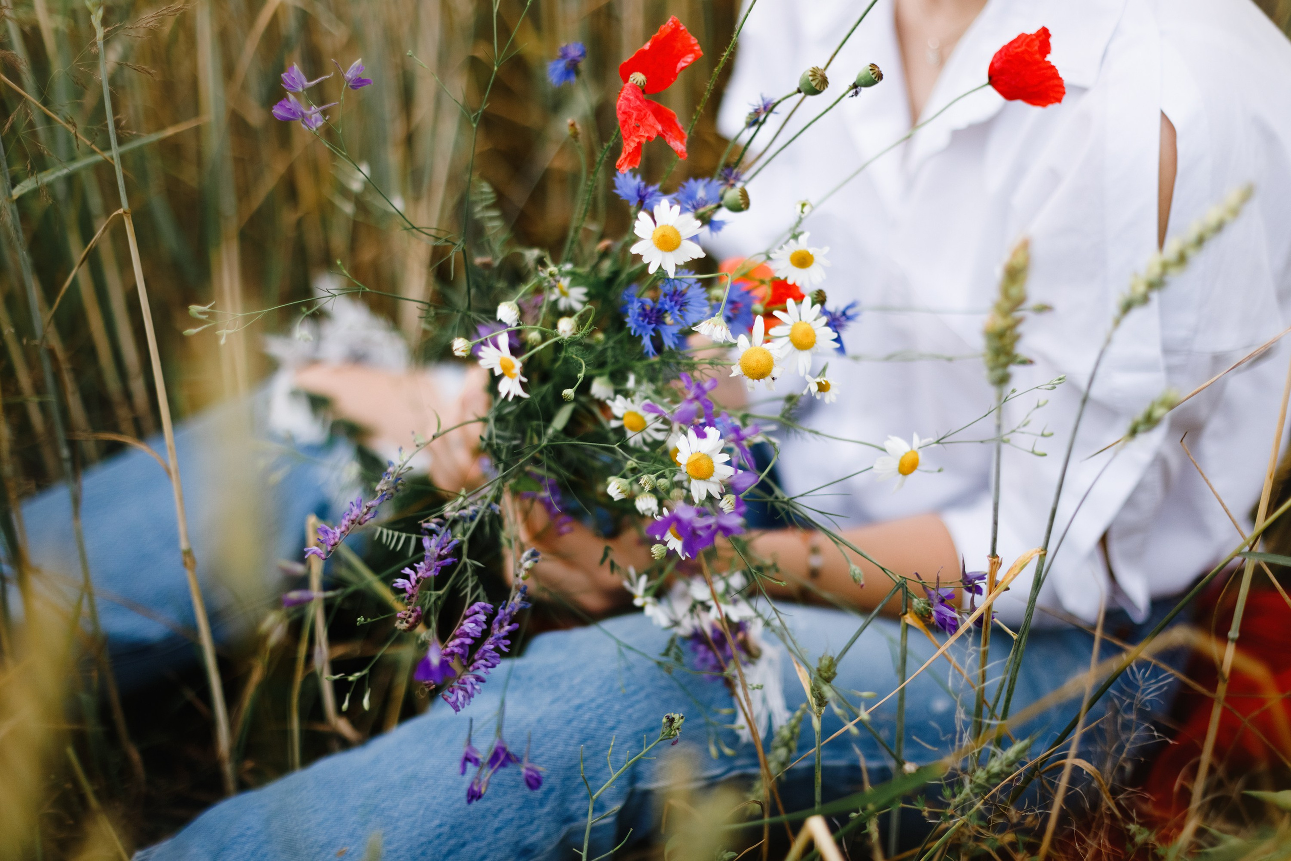 Darya. Kaja | fotograf psów we Wrocławiu