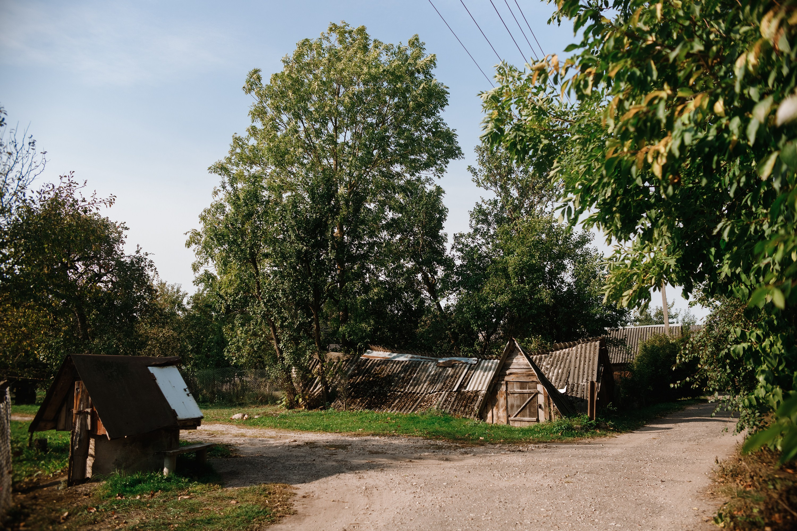 One small village in Grodno region. Kaja | fotograf we Wrocławiu | ludzie i psy