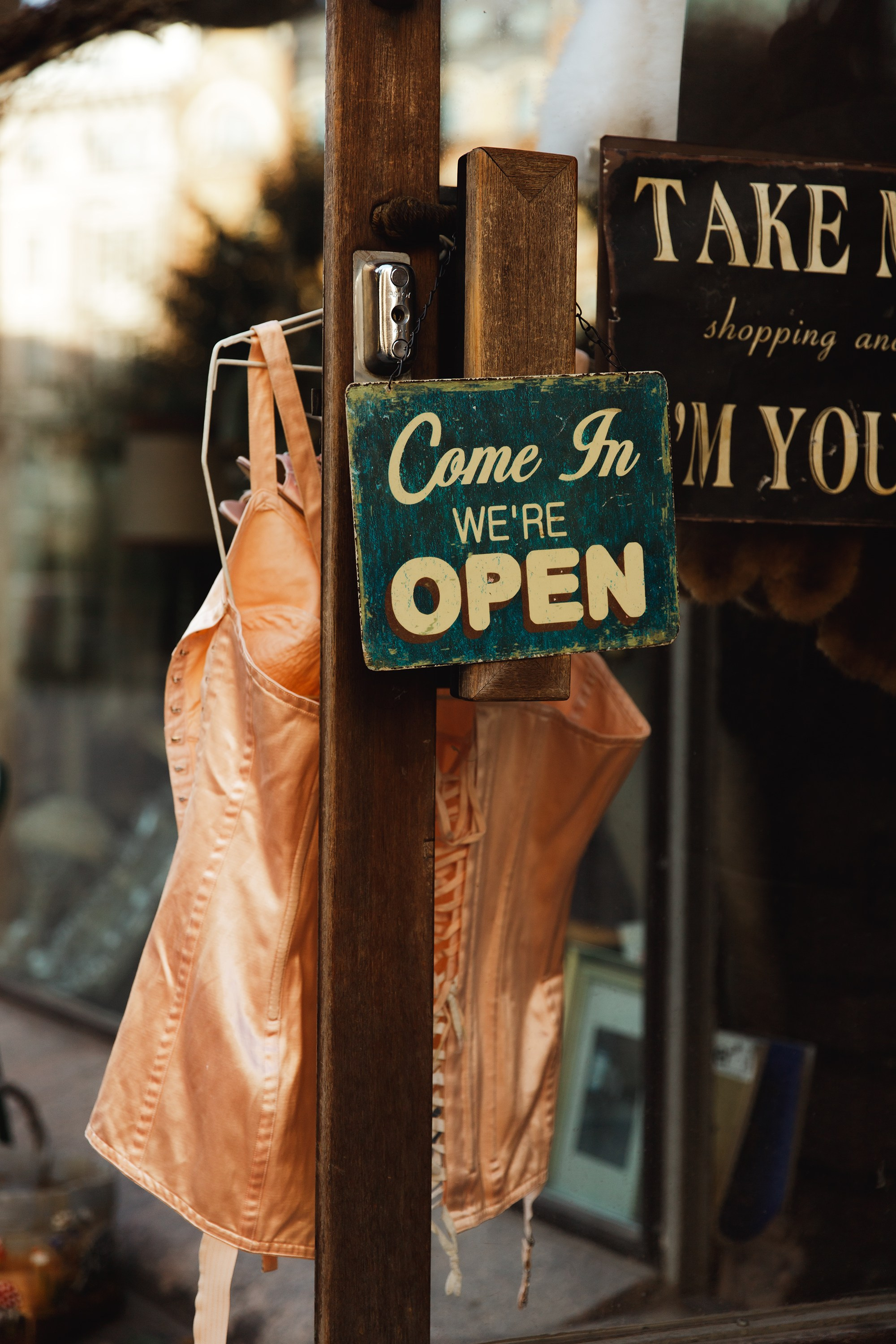 Helsinki. Kaja | fotograf psów we Wrocławiu