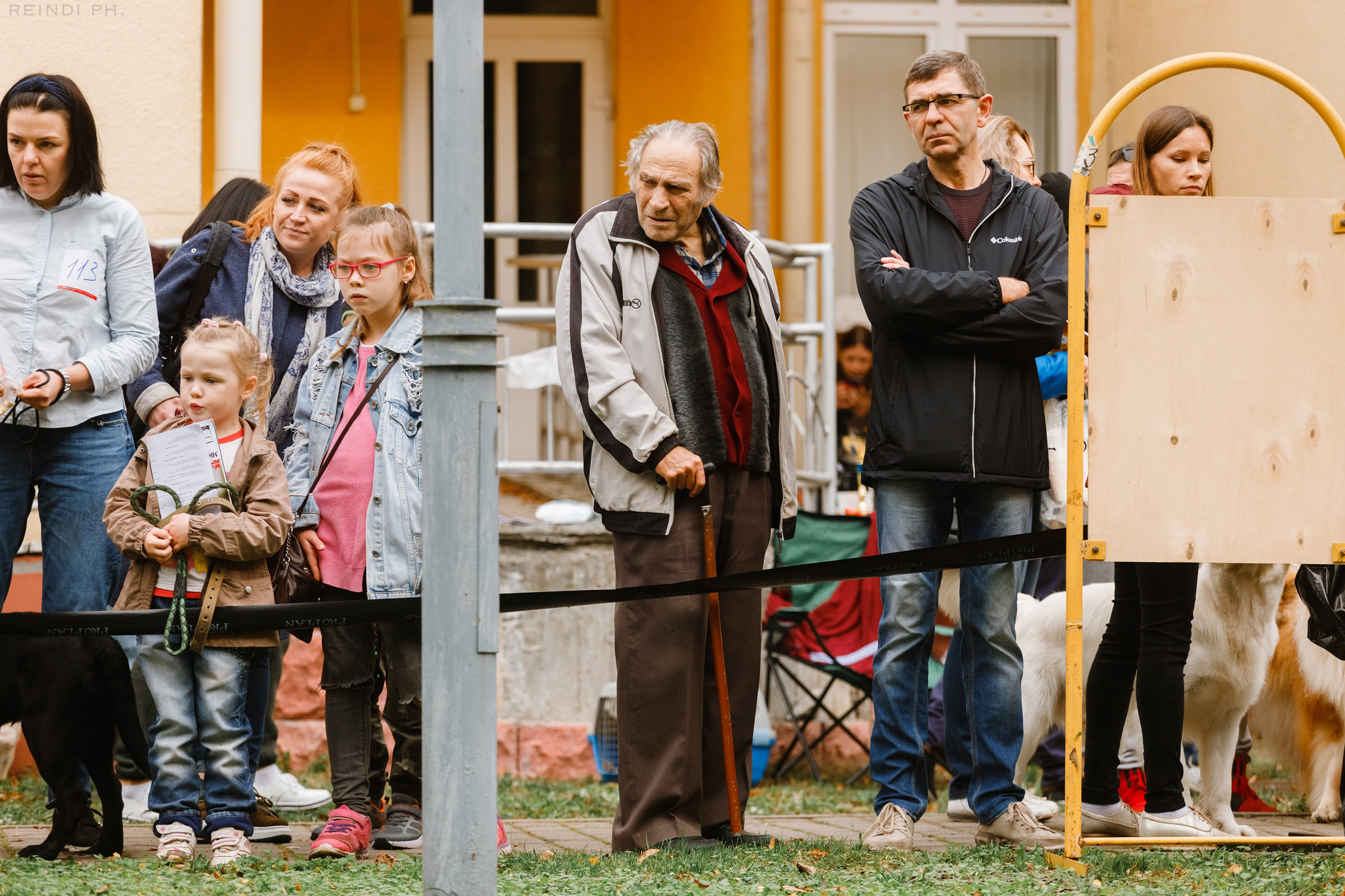 «Argus» dog show in Brest. Kaja | fotograf we Wrocławiu | ludzie i psy
