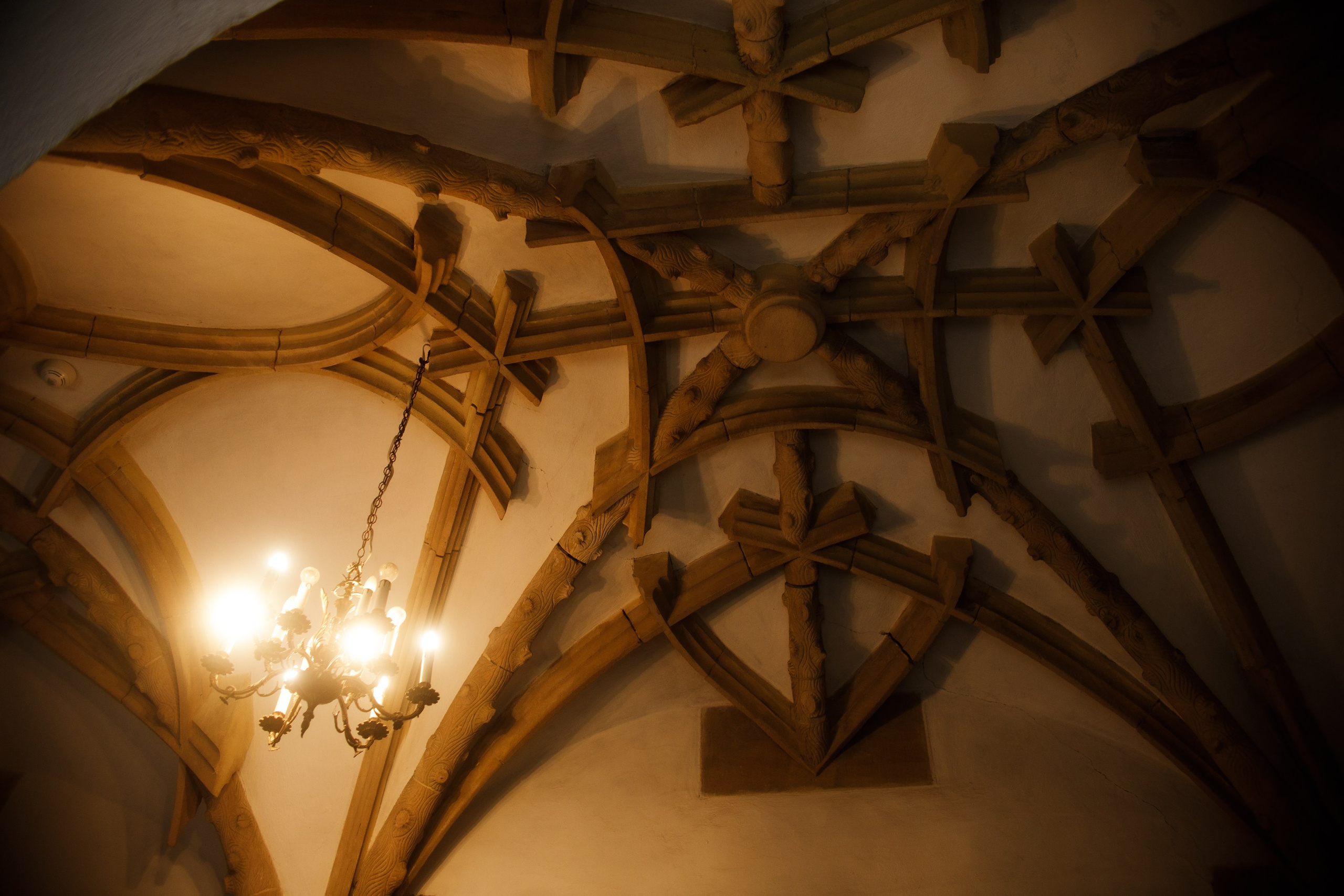 Zamek Grodziec. Kaja | fotograf psów we Wrocławiu