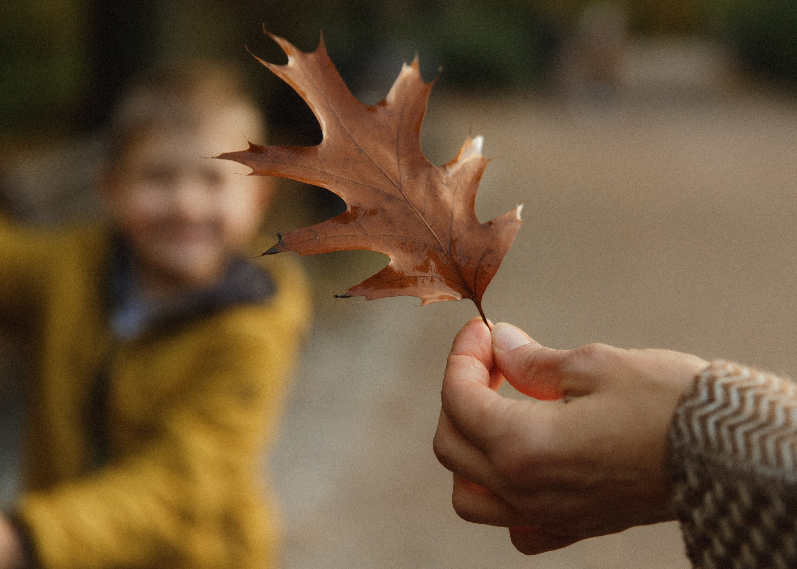 Tatiana & Adam. Kaja | fotograf psów we Wrocławiu