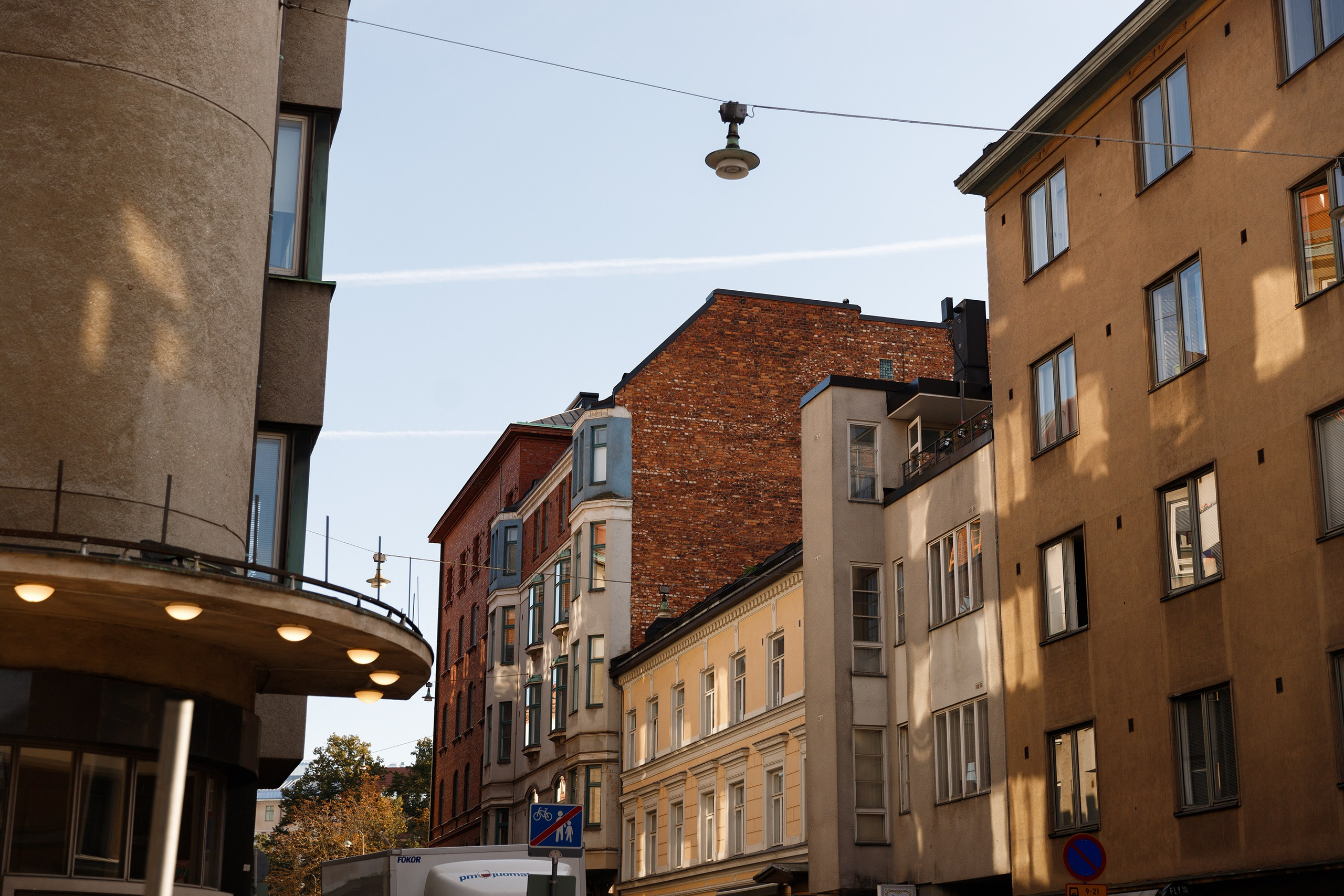 Helsinki. Kaja | fotograf psów we Wrocławiu
