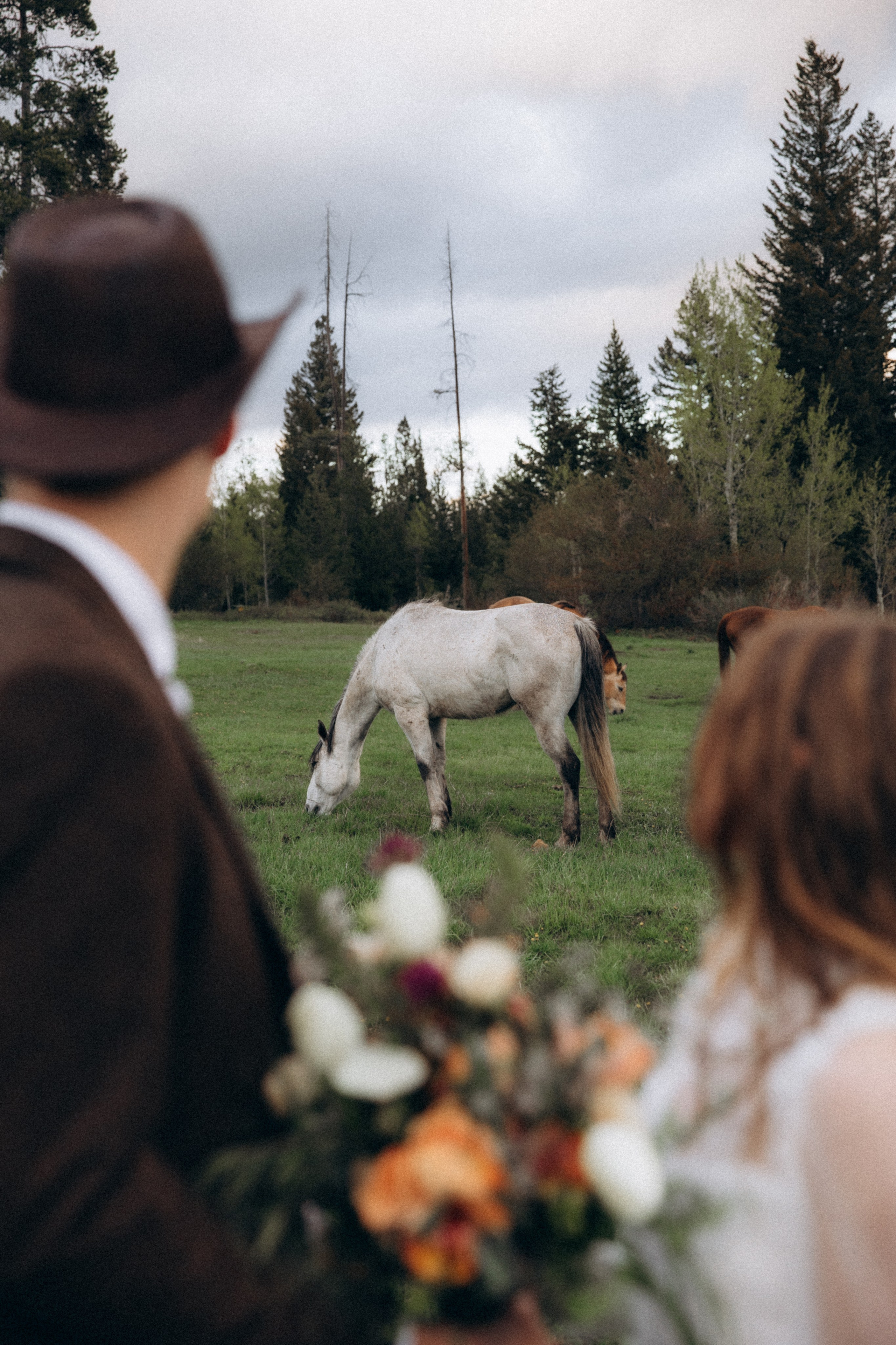 Siena & Aaron | Elopement in Wyoming