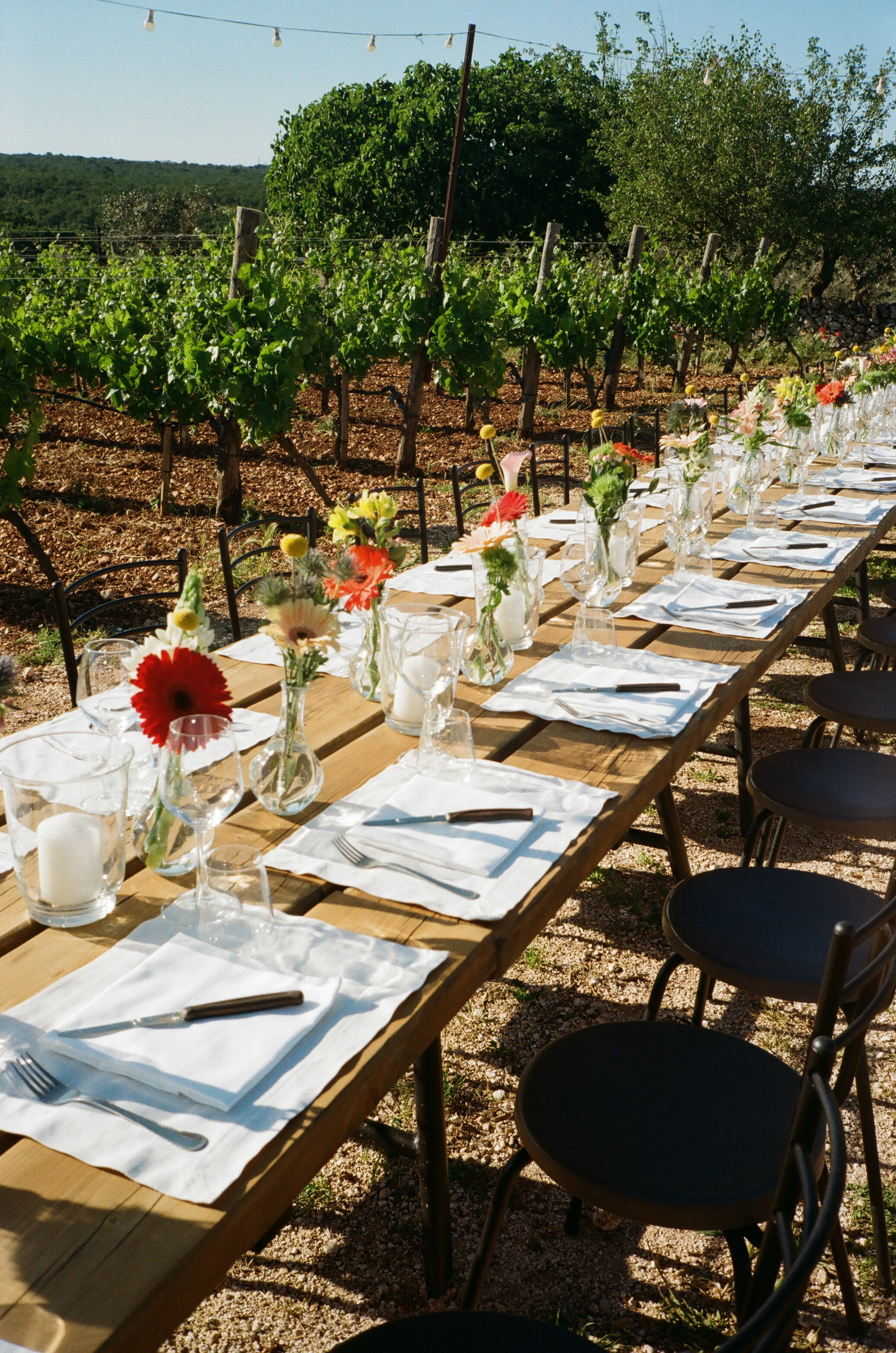 Stephanie & Christian film photos. Весільний фотограф Вікторія Саврук