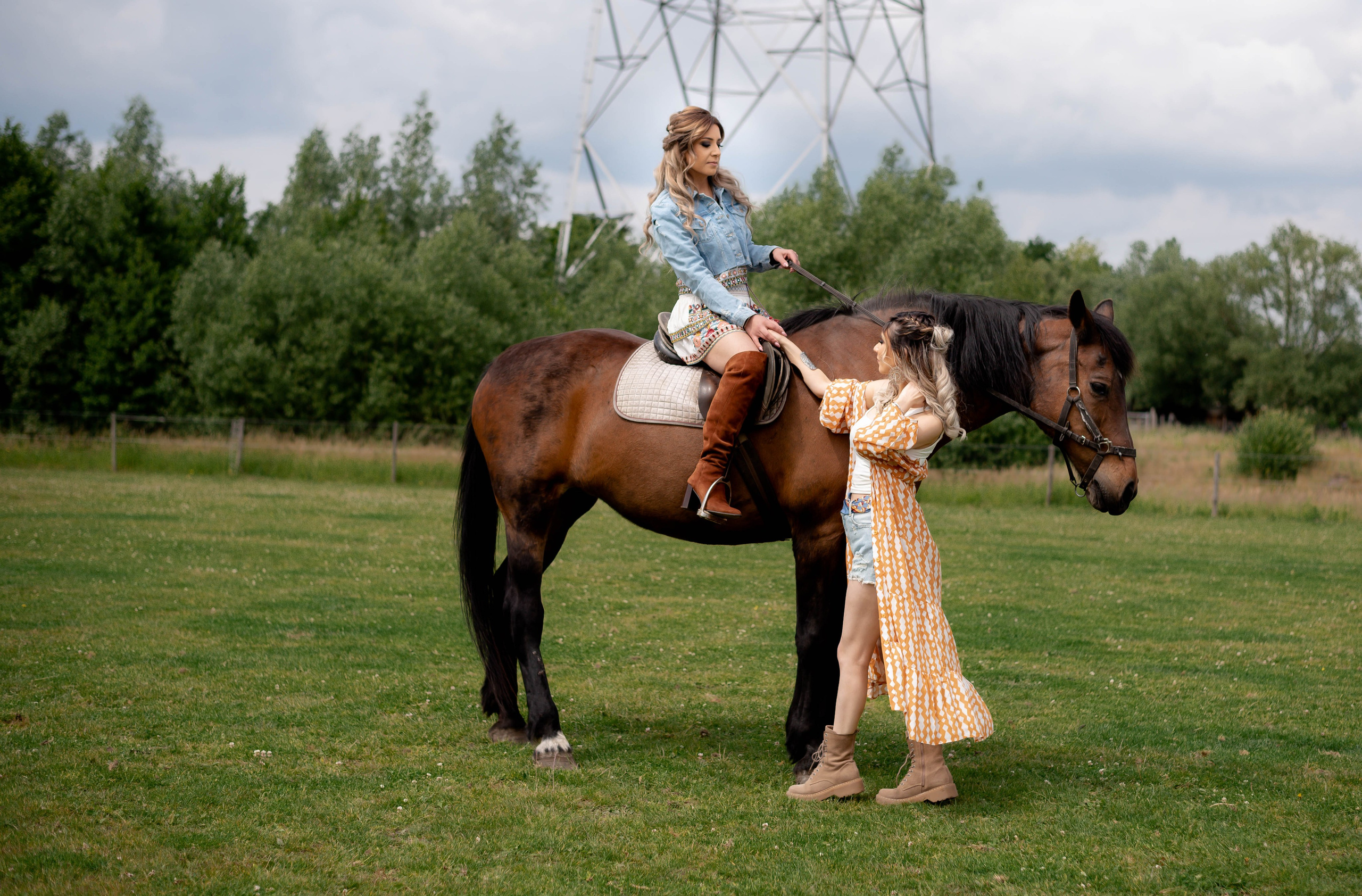Photoshoot with Horses. Professional Photograher, Antwerpen/Belgium