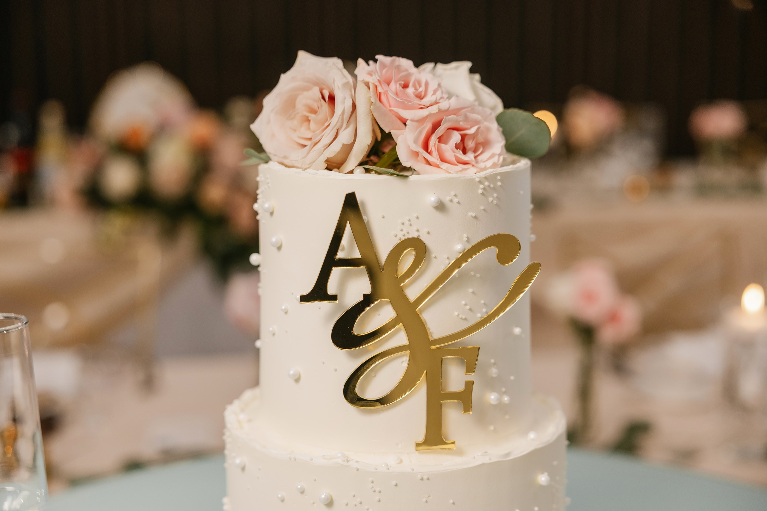 09.06.2025 Wedding. Wedding family event photographer in Chicago Nick Yushevich