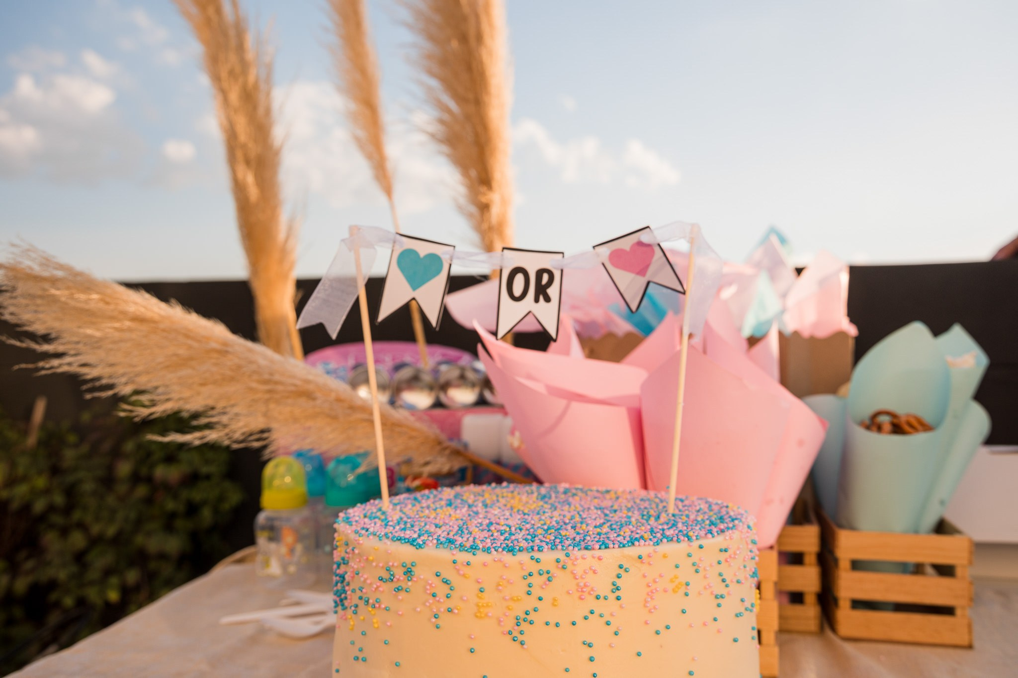 Revelacion de Hannah. Wedding and family photographer in Mexico City