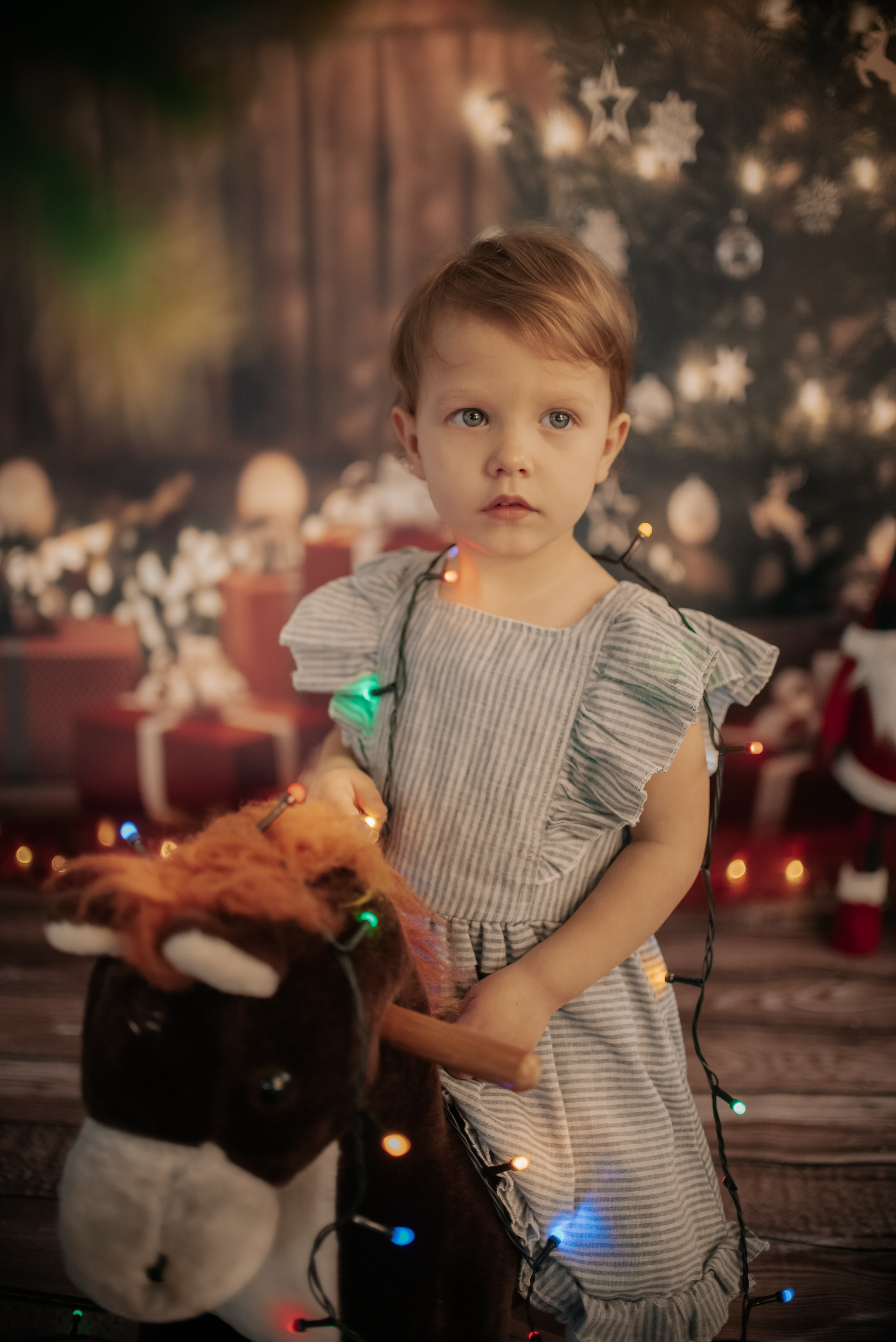 Vianočné fotenie. Rodinná a svadobná fotografka v Bratislave | Prezrite si portfólio