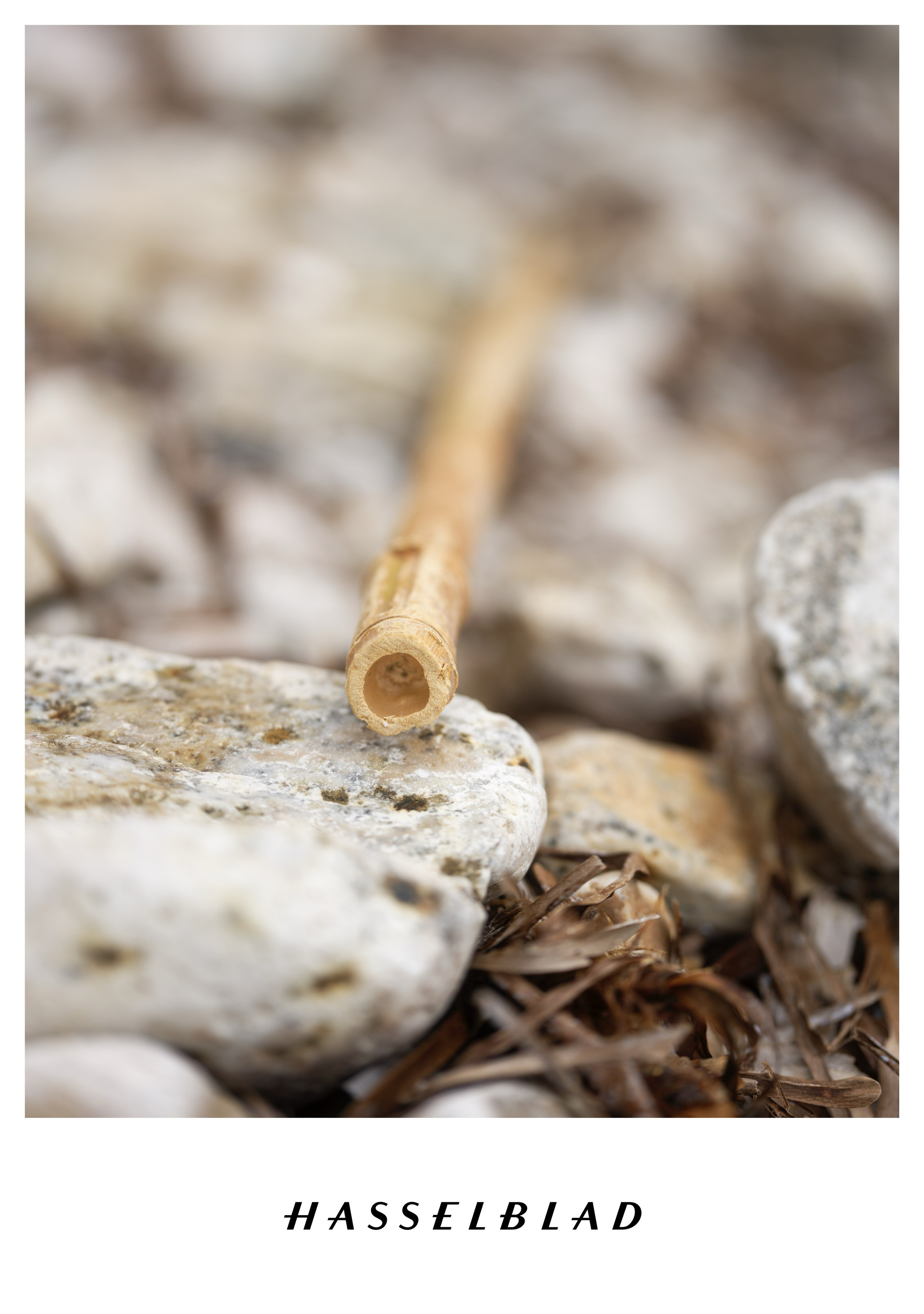 Travel. Visual artist | Fotograf | Stuttgart