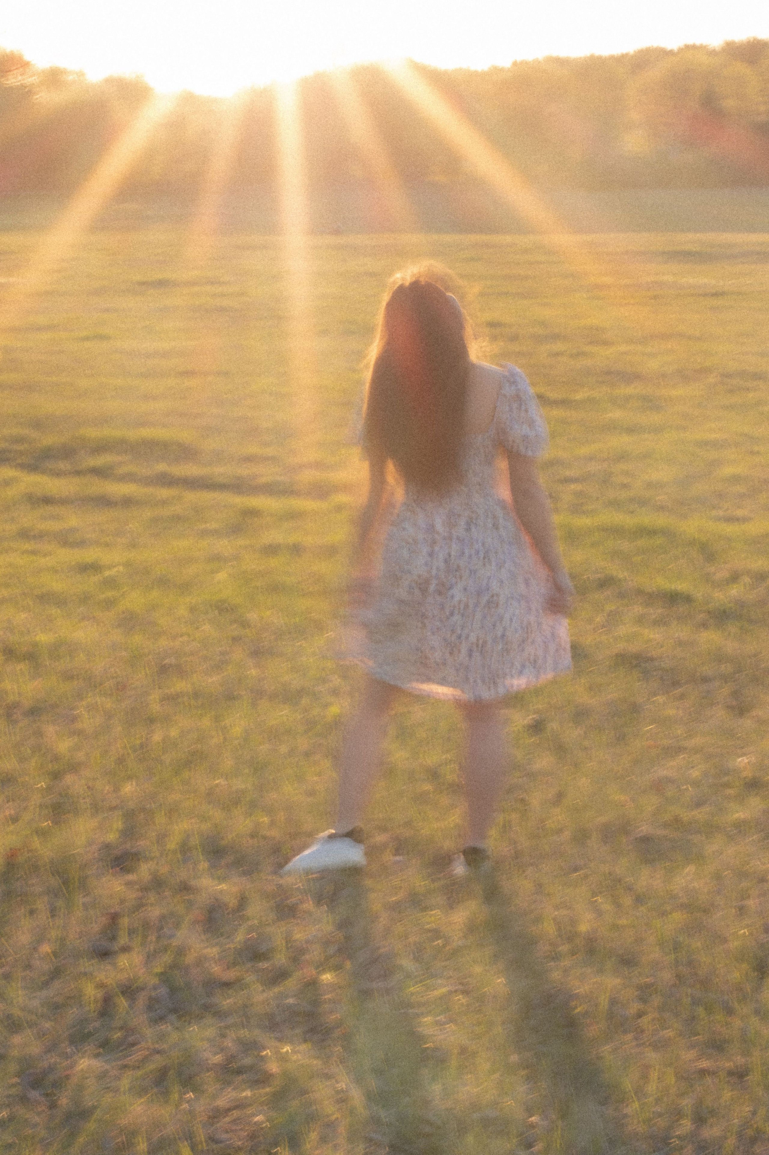 Violeta. Emily Photography