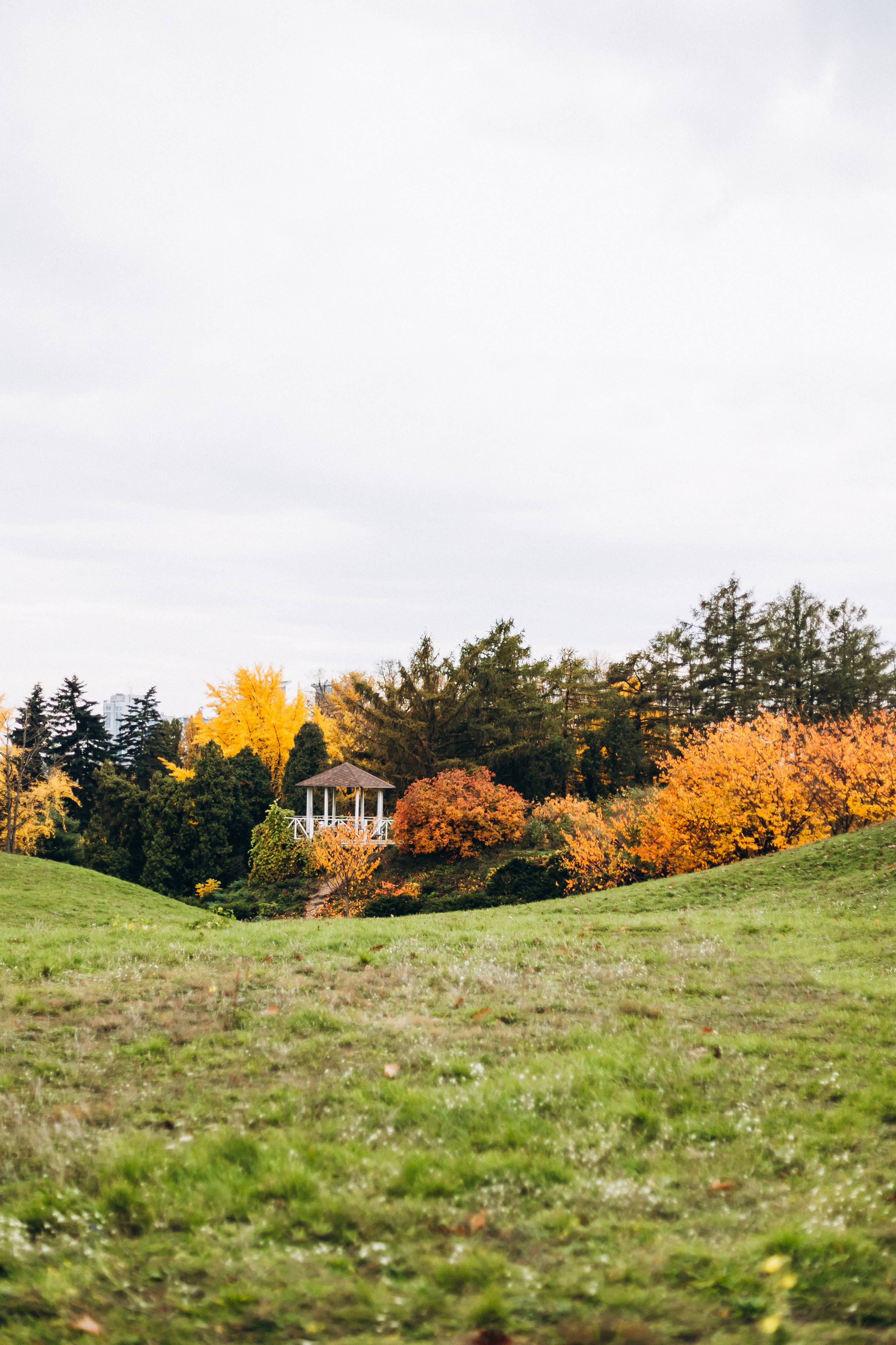 Autumn love. Wedding and Family Photograph