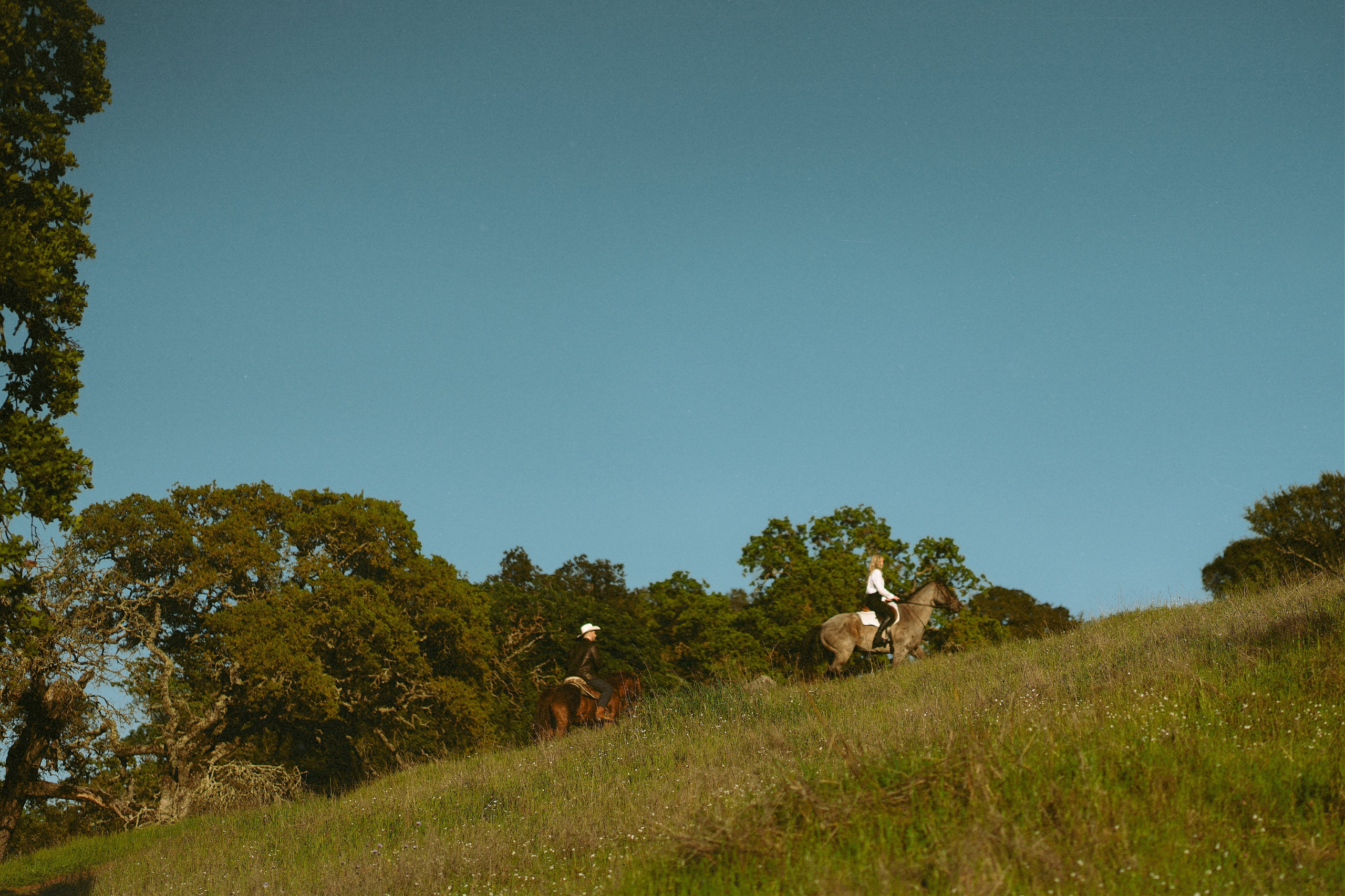 Engagement with Horses, Napa, Northern California. Wedding Photography & Videography Team in California, Los Angeles, San Francisco, San Diego and Travel
