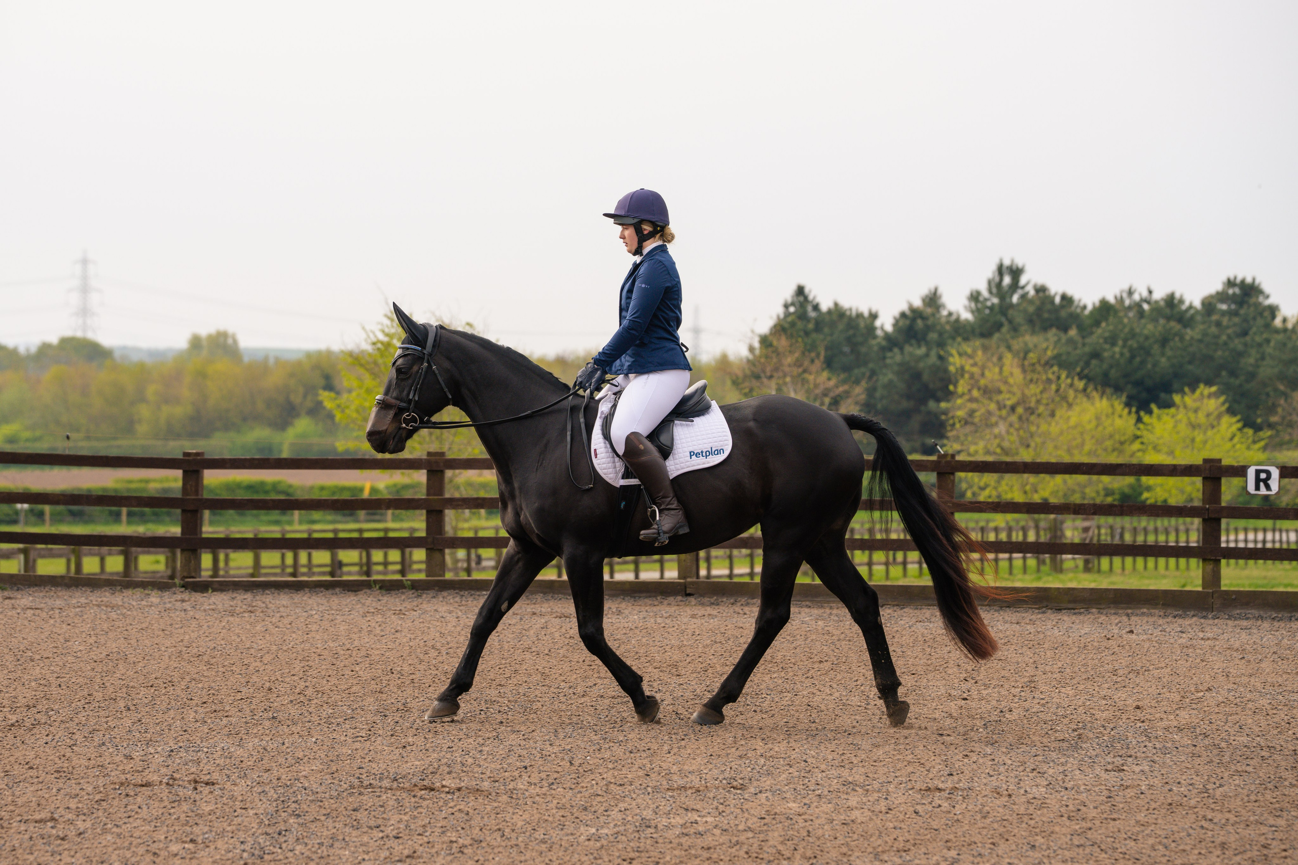 Dressage rider performing test on elegant horse at rural UK showground