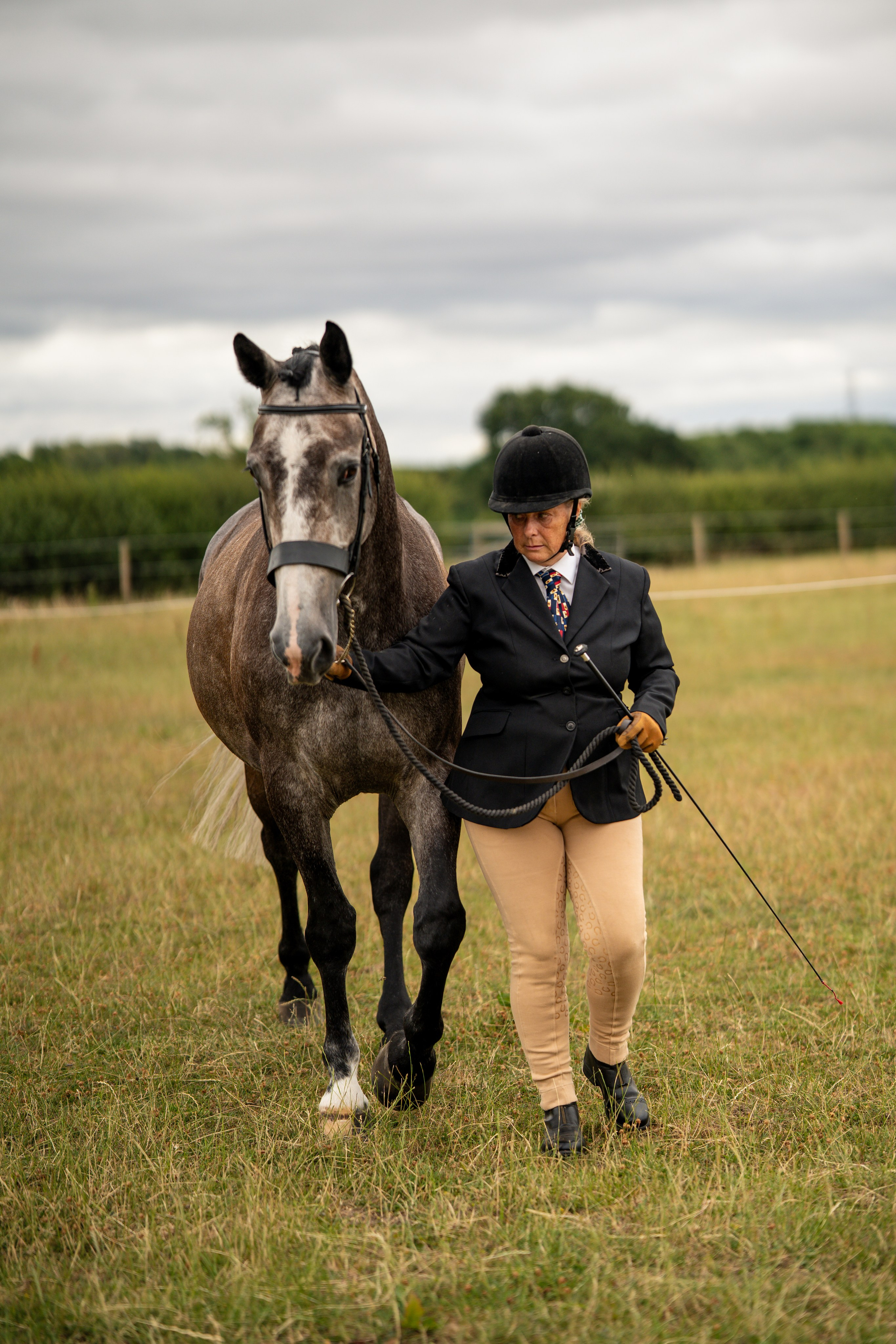 Showing. Leicestershire Equine Photography by El | Authentic Equine Portraits & Events