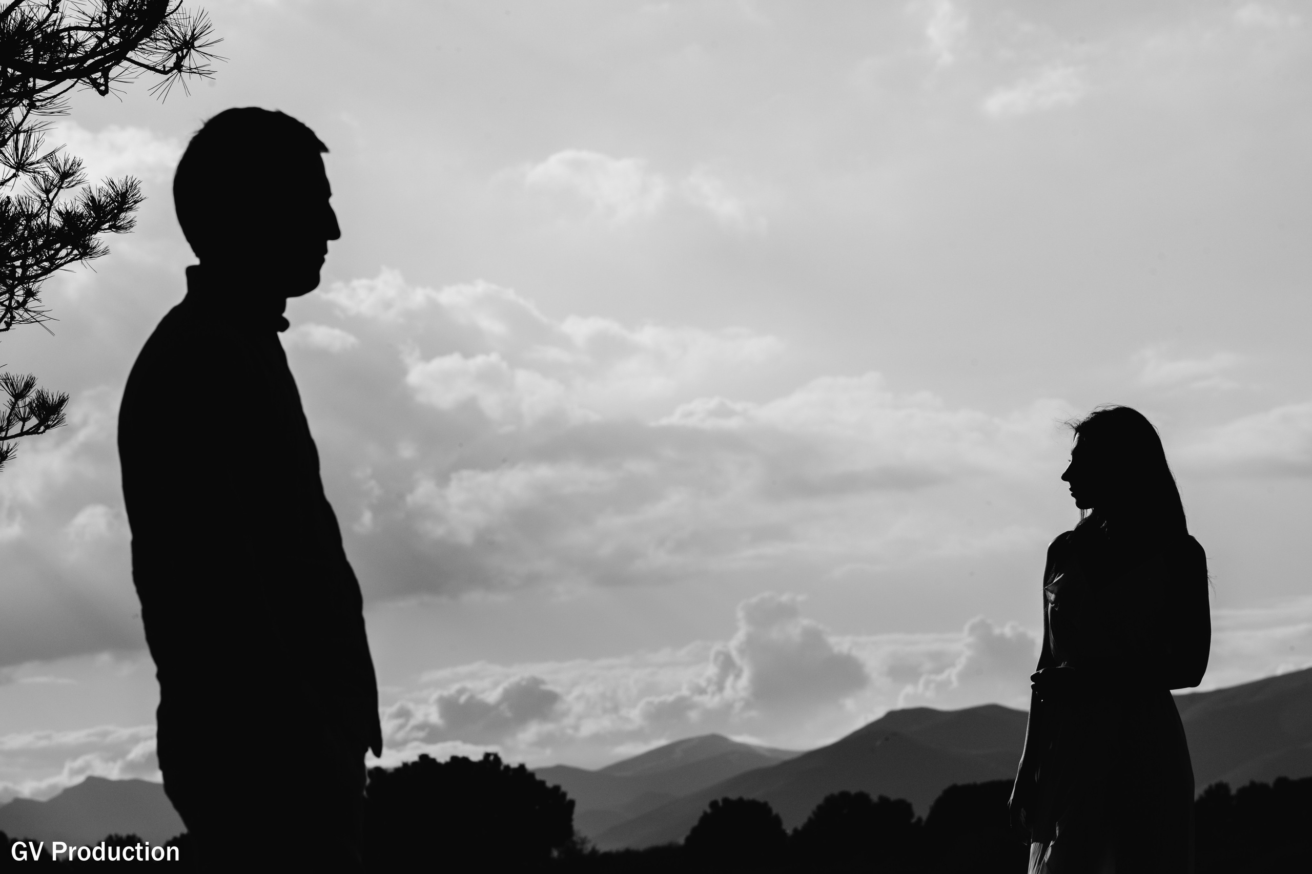 Arthur & Narine (pre Wedding). Wedding photos and video shooting in Armenia and all over the world!!! Photographer in Yerevan