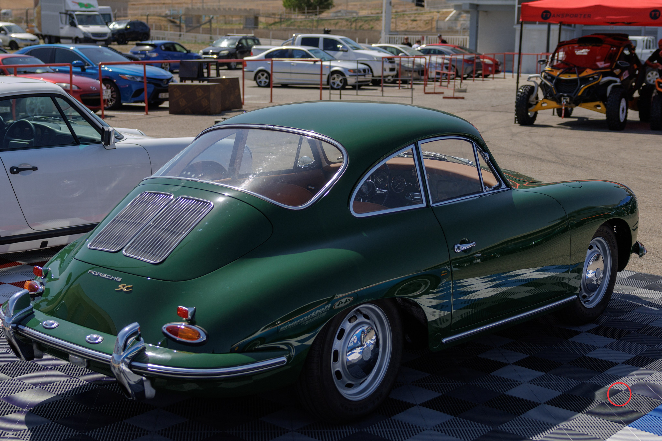 კოტეტას თასი 2025. FramefreeMan