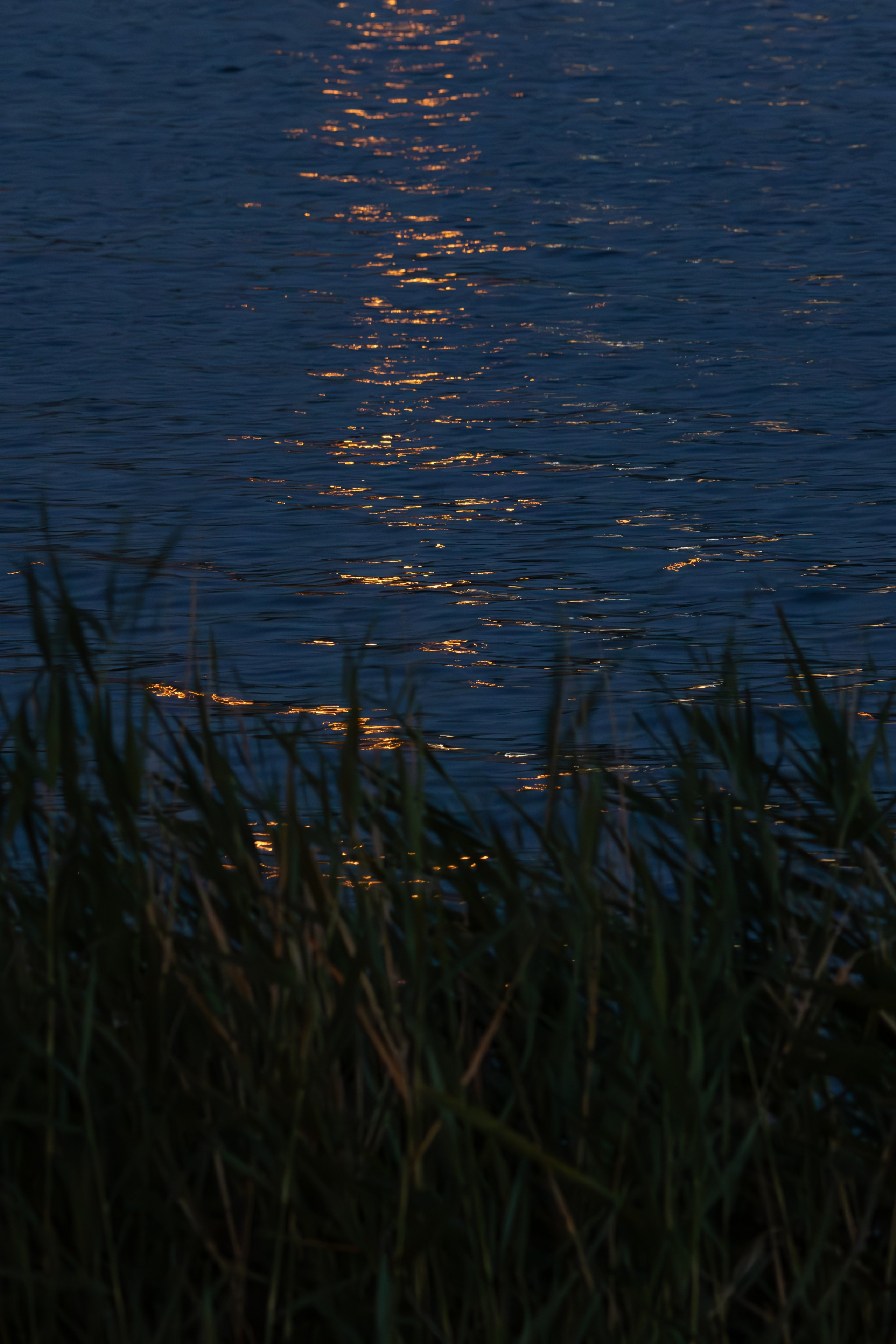 დაისი ლისი. FramefreeMan