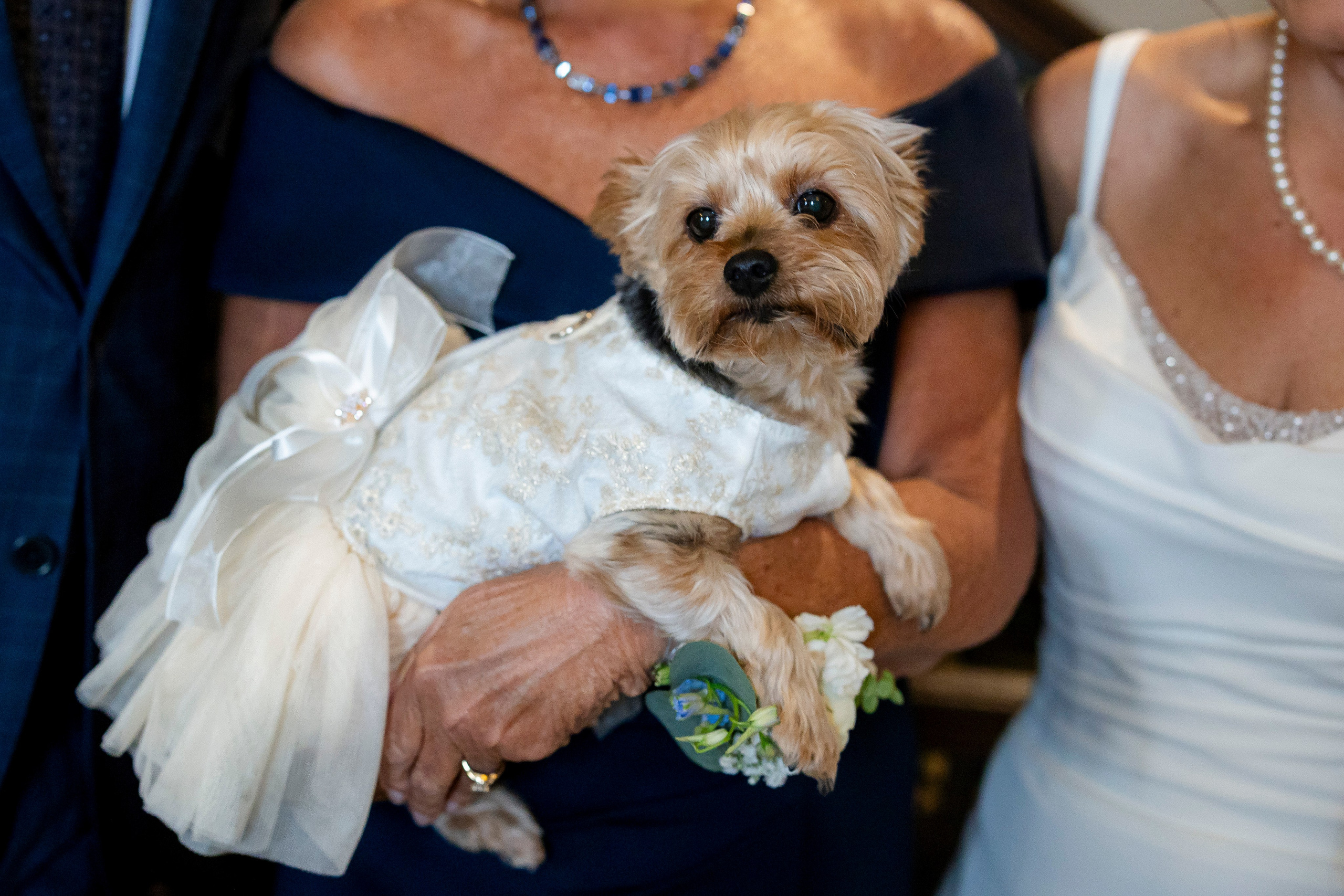 Westin Poinsett Wedding in Downtown Greenville | Brooke & Mike’s Elegant City Celebration. Wedding and portrait photography in Greenville SC