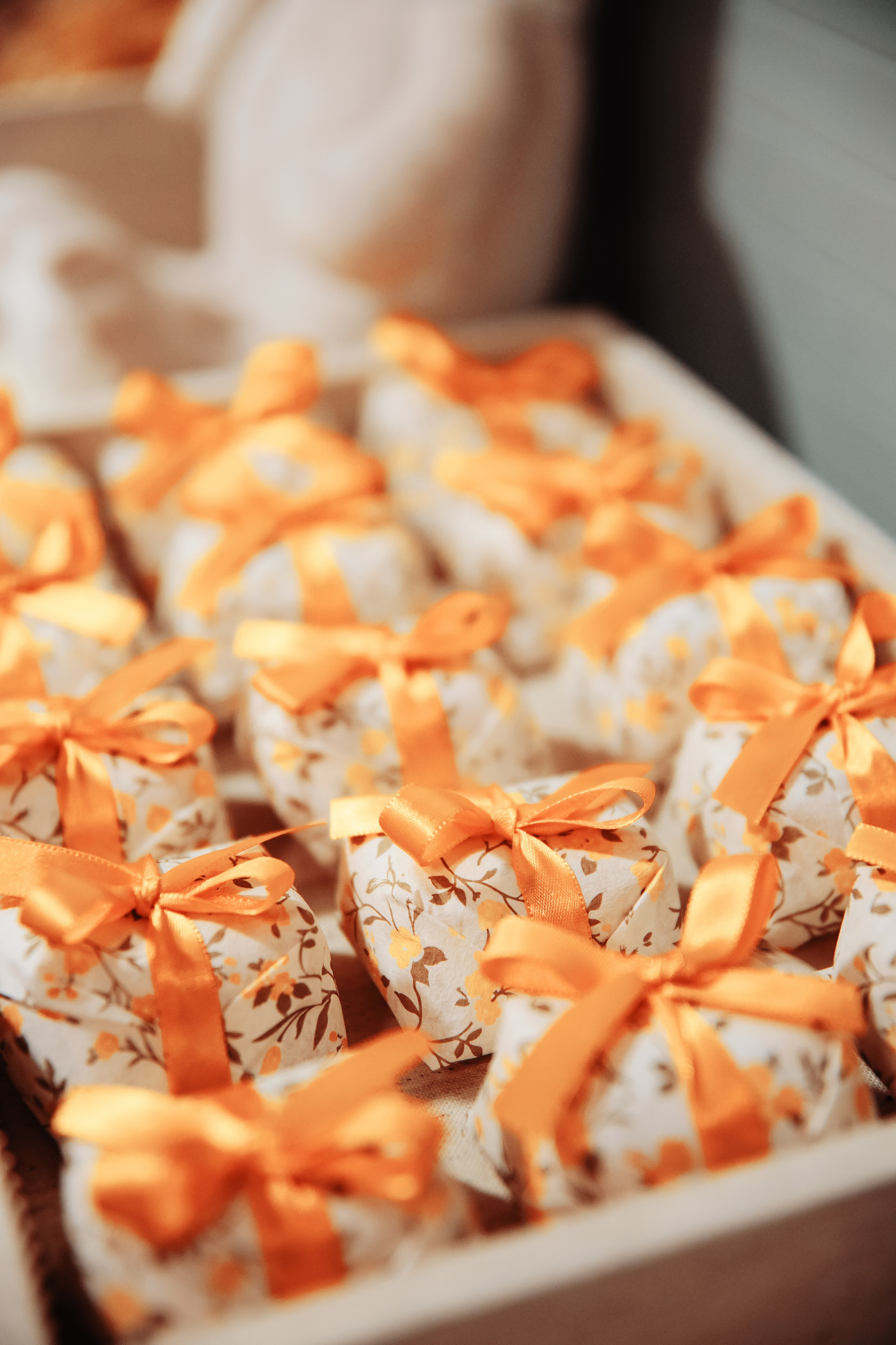 AURORA. Eu Talyssa Mendonça (Fotógrafa, Goiânia — GO)