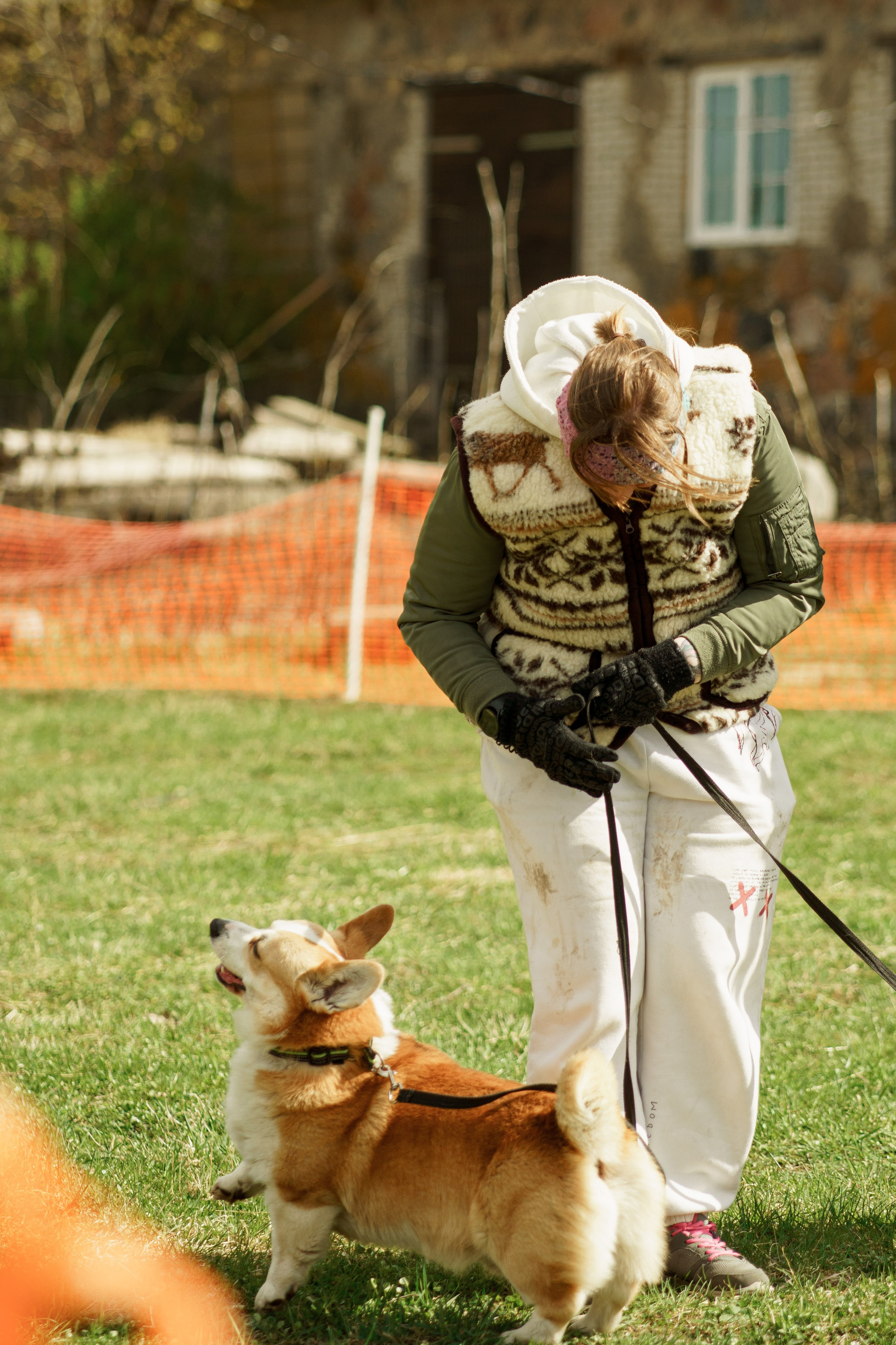 Herding Days, 26 apr. 2025. Kat Laisaar — Pet photographer in Tallinn