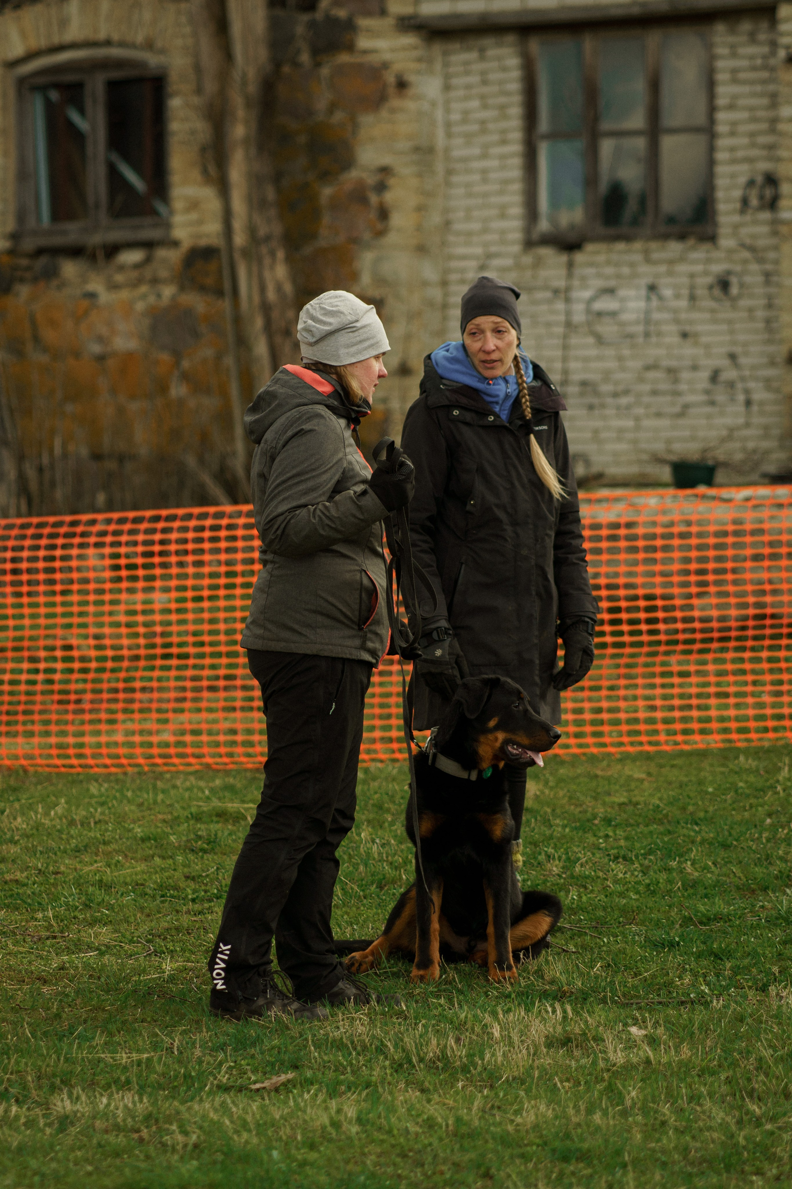 Herding Days, 26 apr. 2025. Kat Laisaar — Pet photographer in Tallinn