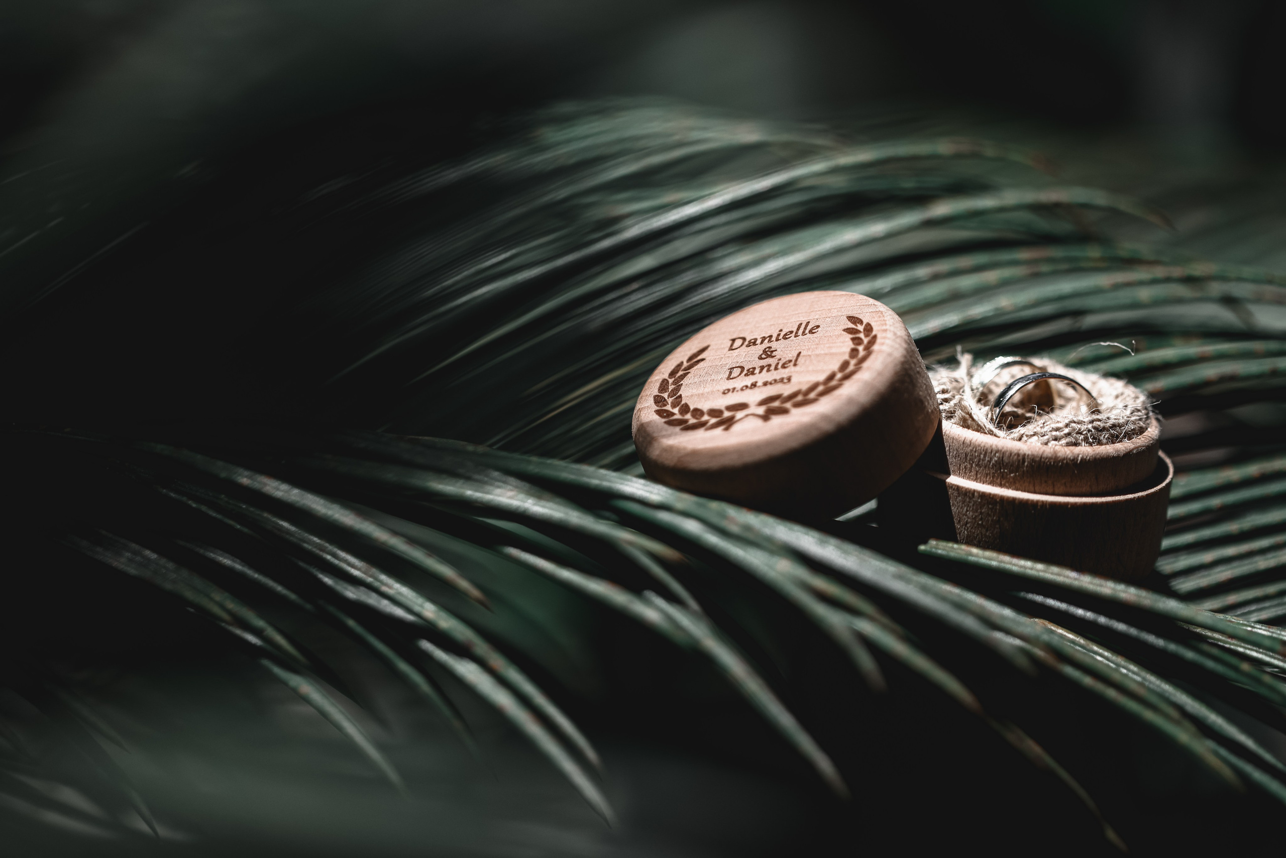 Rings & Dress. Daniel Danilov