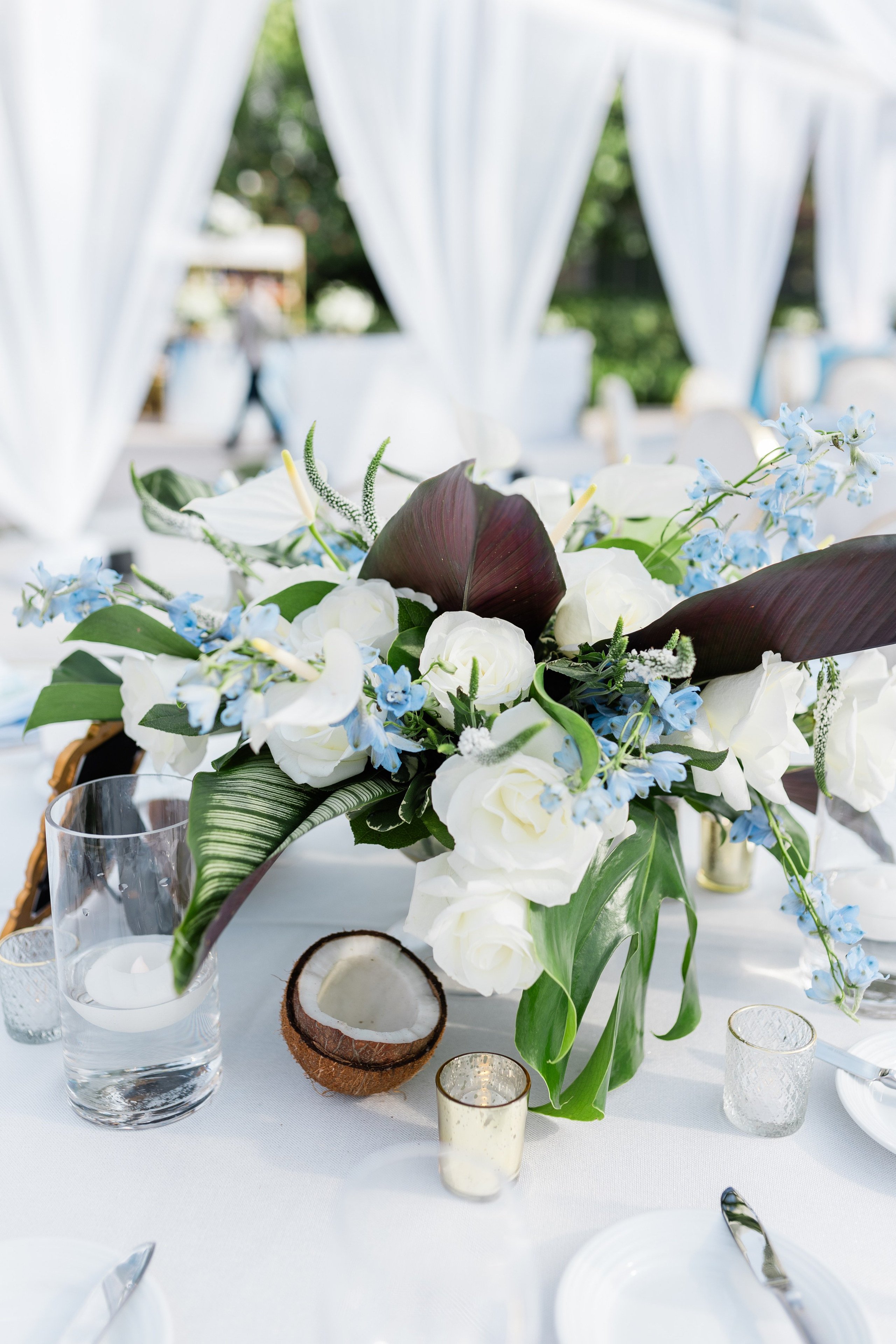 Diana and Filippe Bahamas Wedding. Family and Event photographer in Homestead and Miami areas of Florida