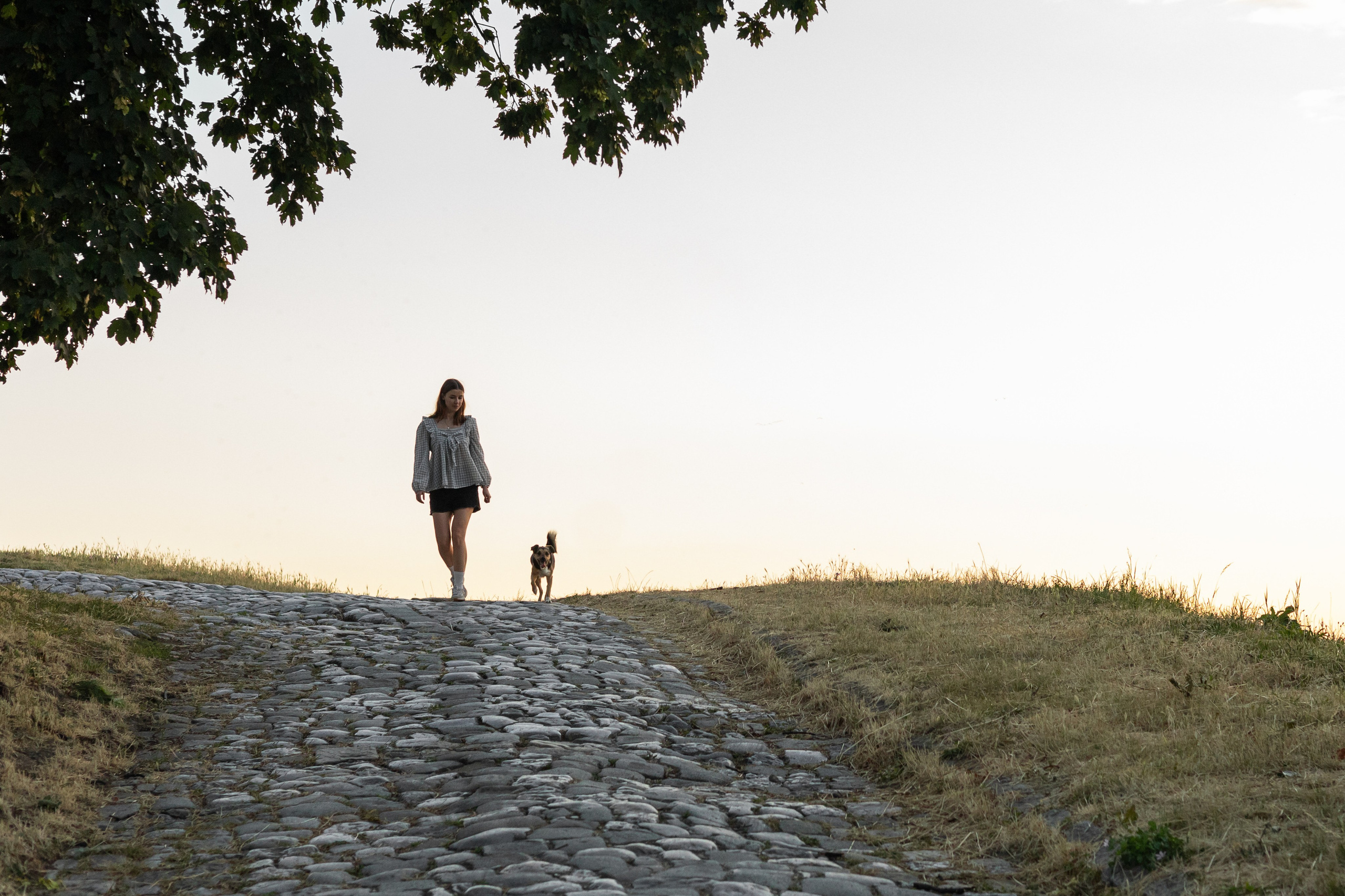 Настя, Денис и Мося. Фотограф-анималист | Белград