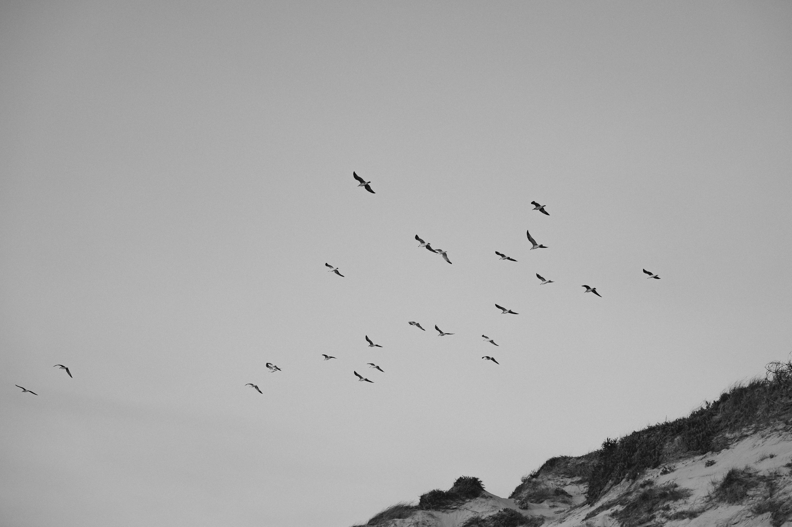 Sara e Fábio. Photographe de mariage et de famille à Braga — Alexandra Mieres Photography