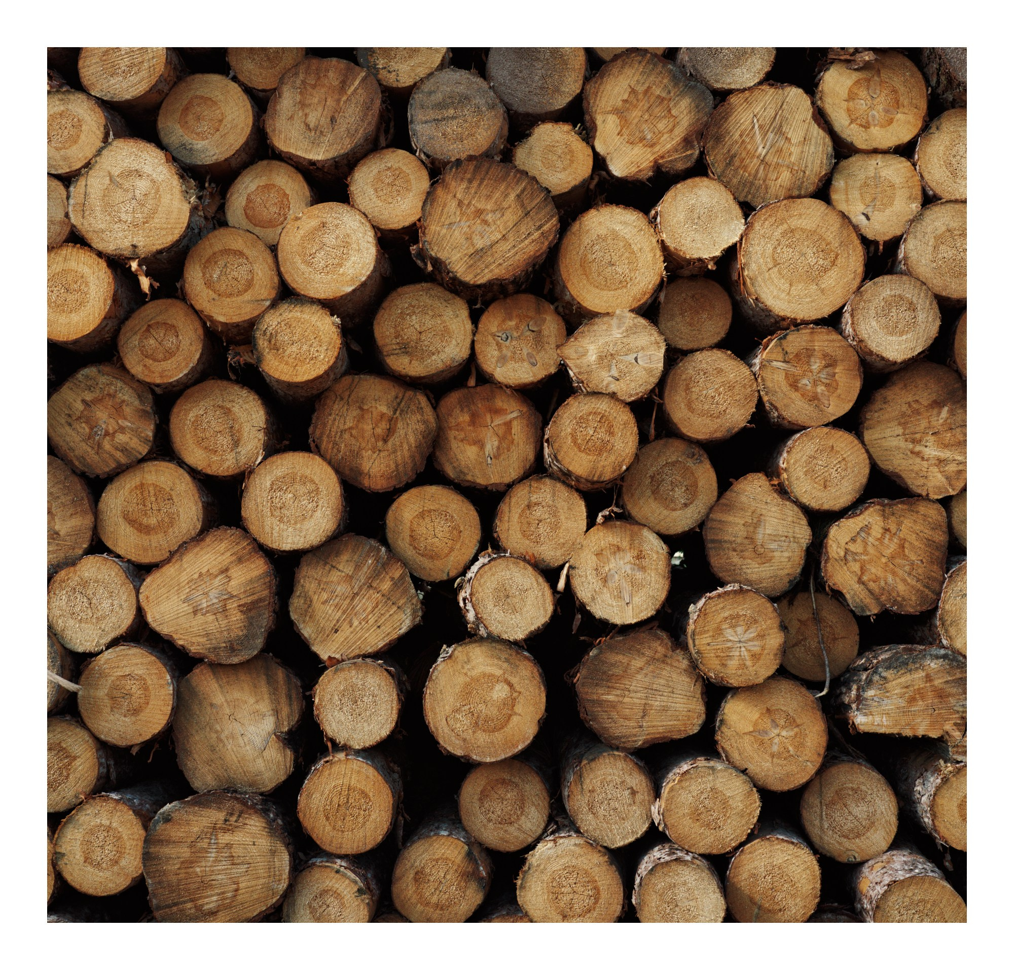 Not People. Igor Mokhovyk — Portrait Photographer in Germany (Berlin and Worldwide