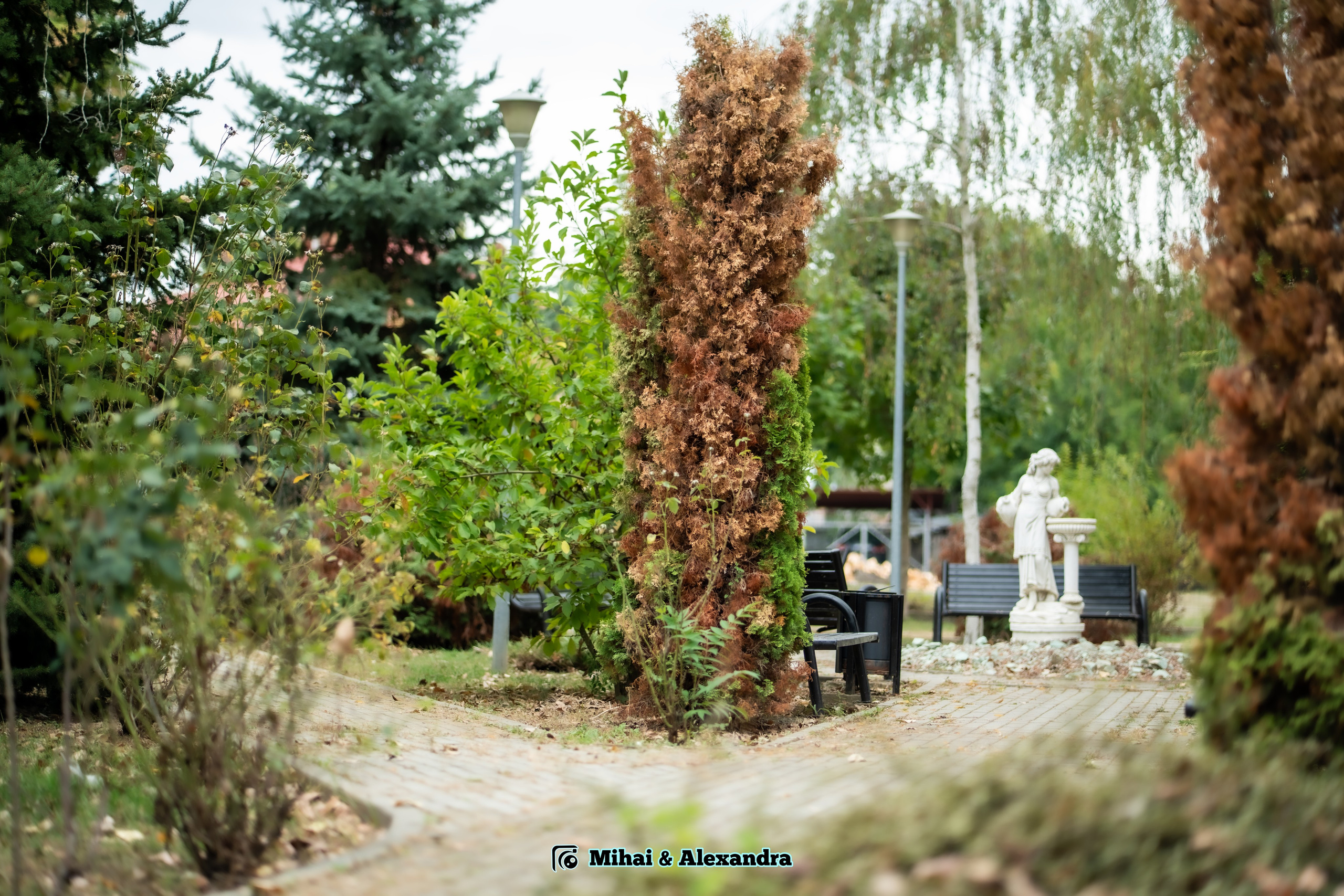 Ședință foto Mădălina & Daniel